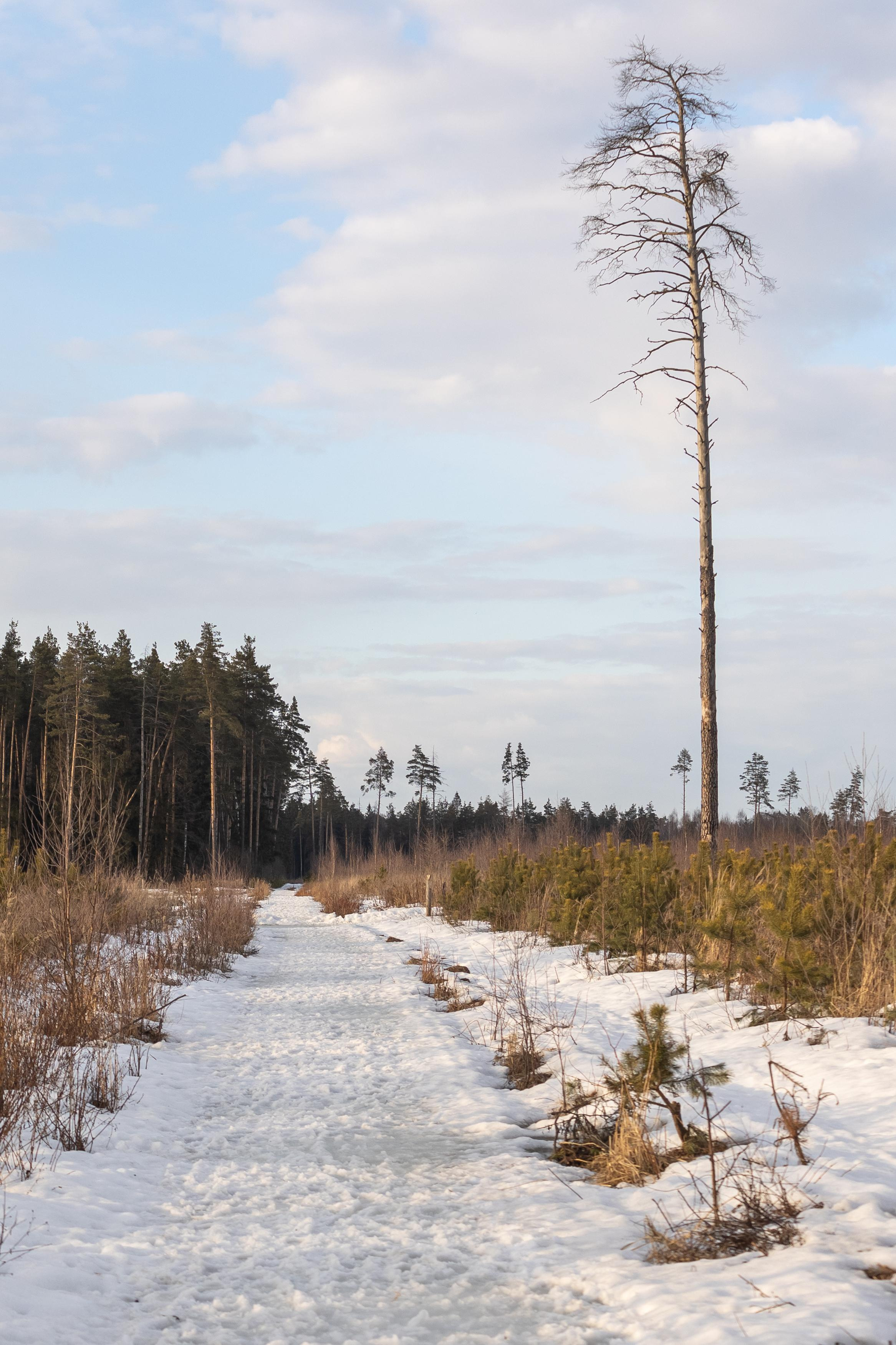 Пейзажи. Свадебный и репортажный фотограф в Москве и Московской области