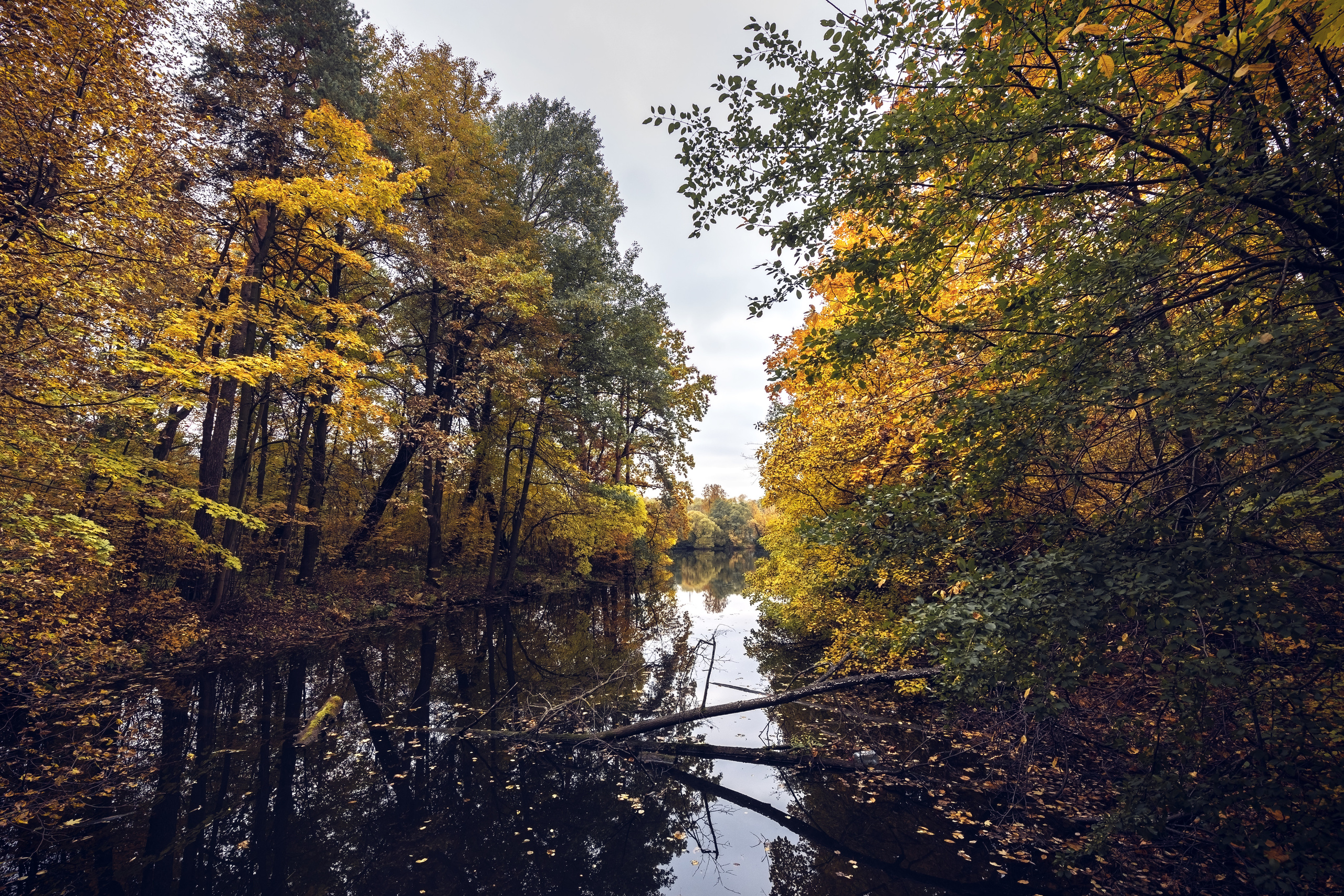 Пейзажи. Свадебный и репортажный фотограф в Москве и Московской области