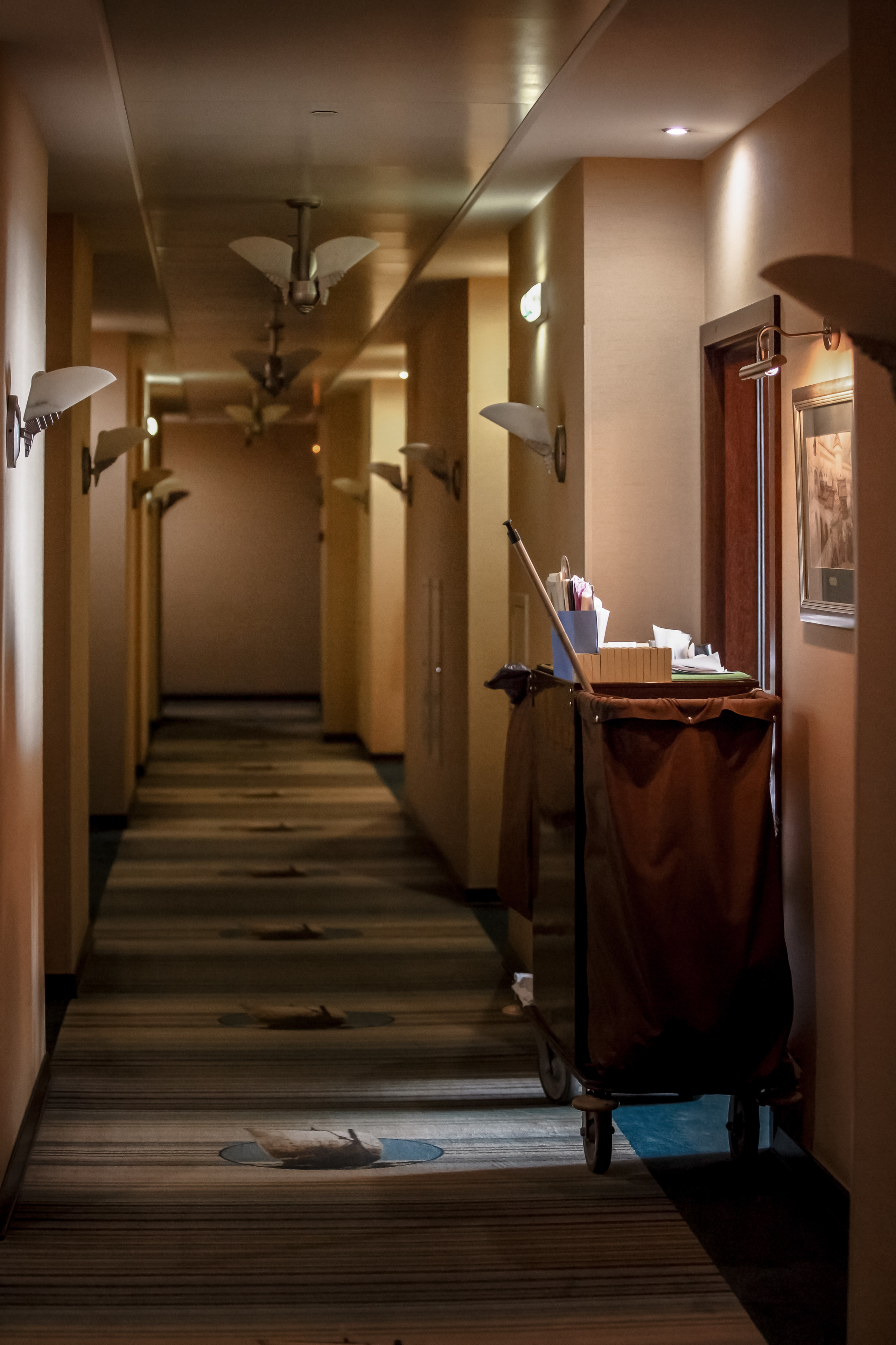 Отель Пётр 1. Свадебный и репортажный фотограф в Москве и Московской области