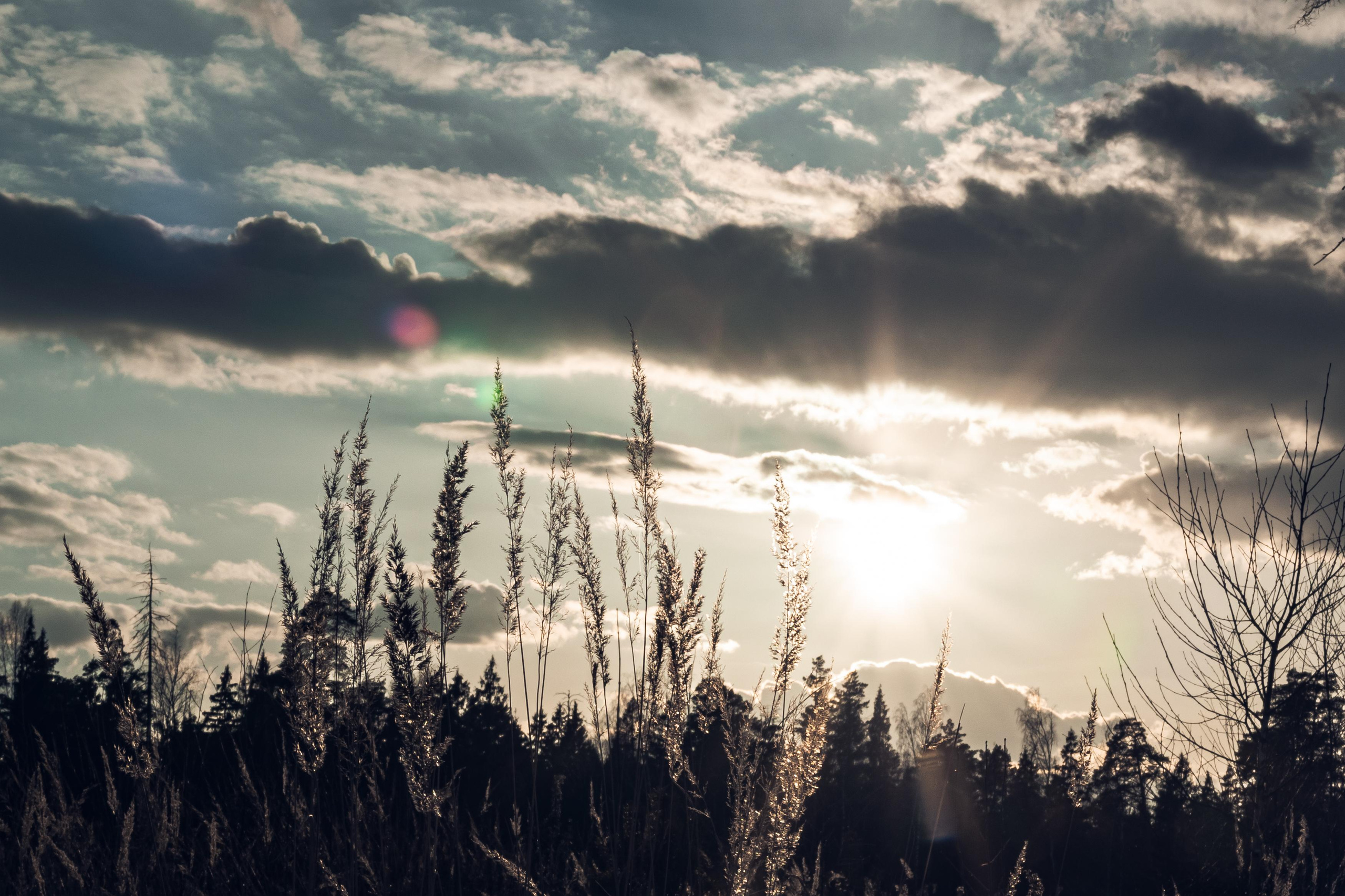 Пейзажи. Свадебный и репортажный фотограф в Москве и Московской области