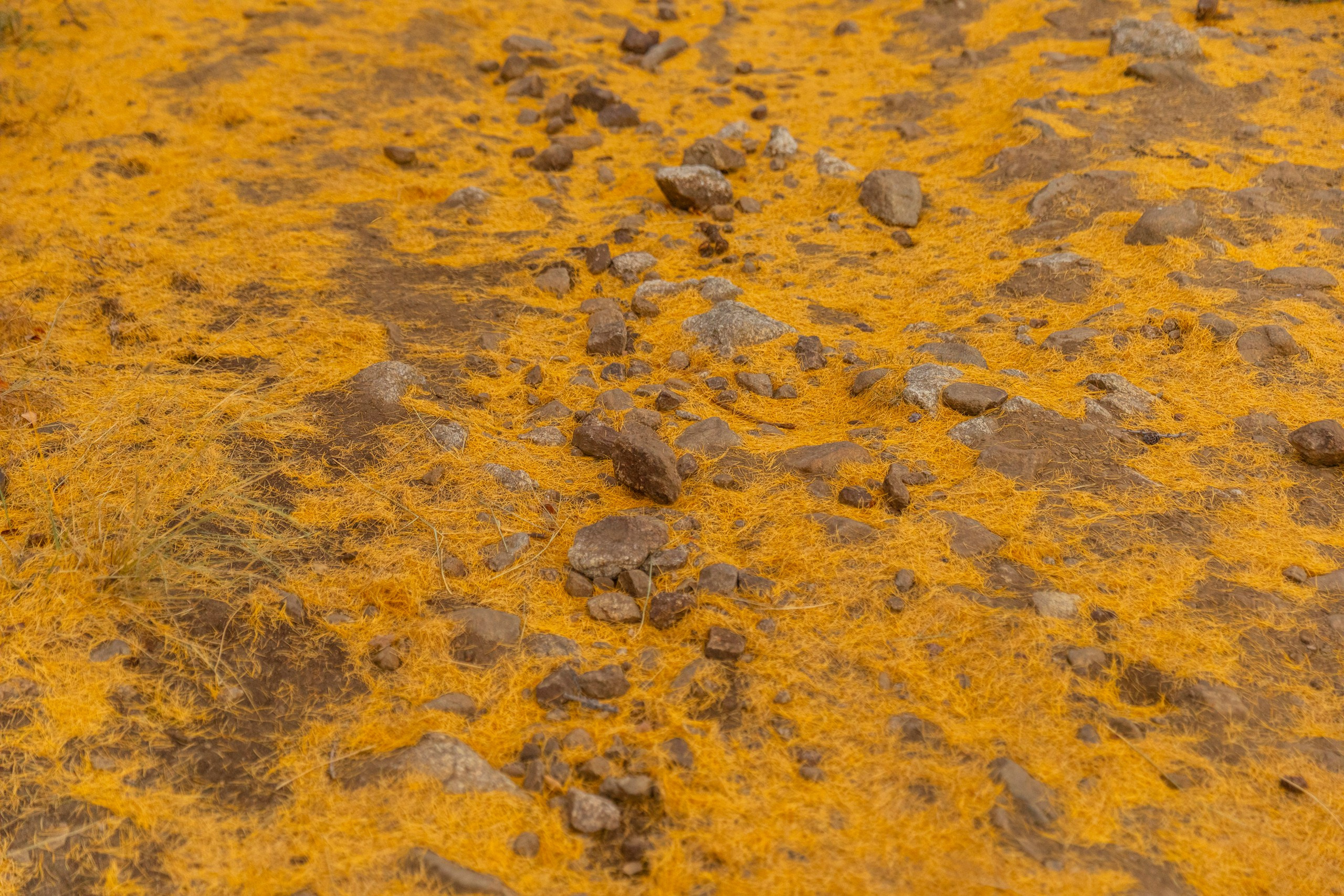 Ольхон в октябре. Марина Захарова — Фотограф. Москва / Marina Zakharova — Photographer