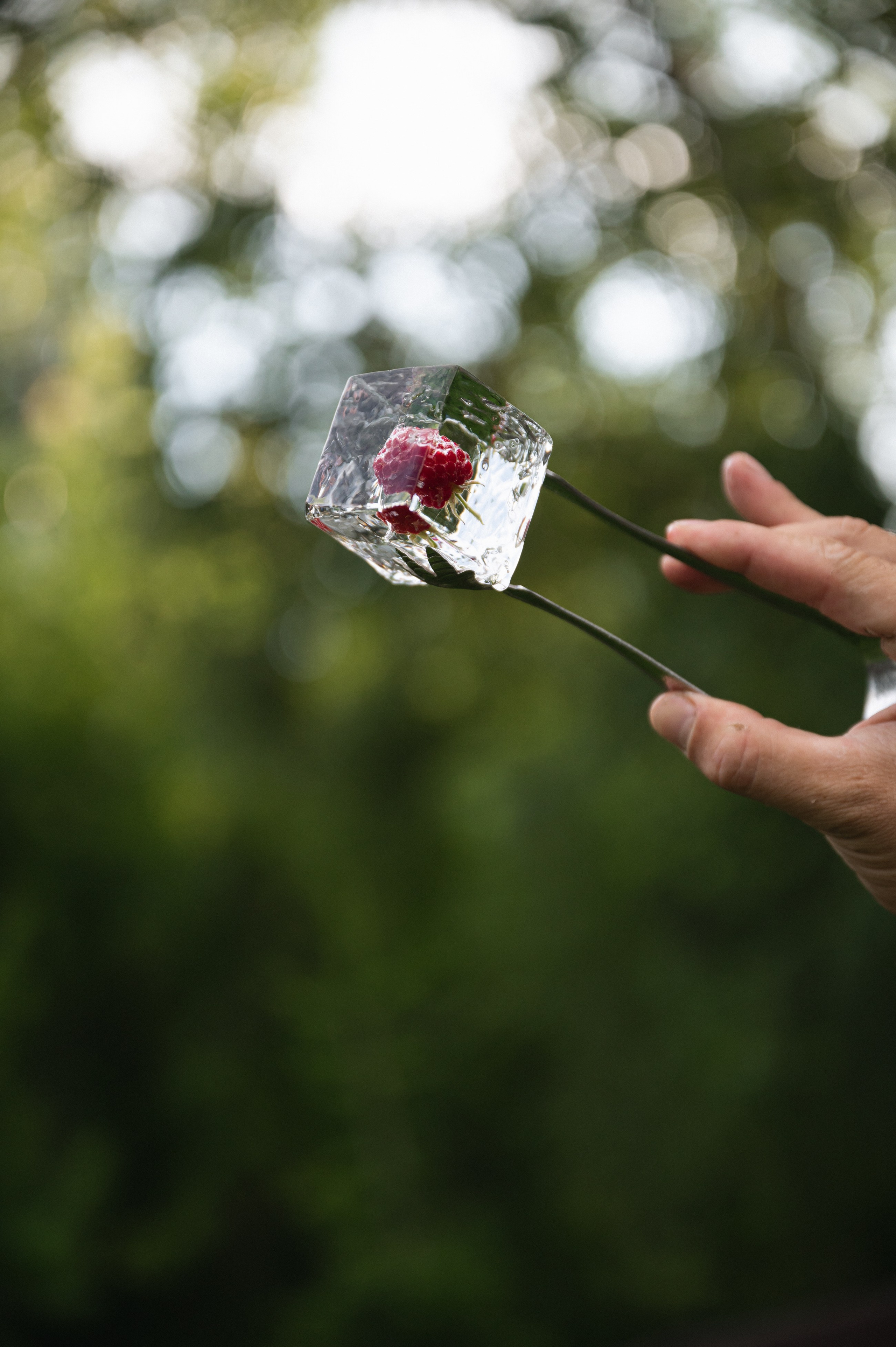 Артём и Софья, Lesnoy Village. Свадебный фотограф Наталья Доронина