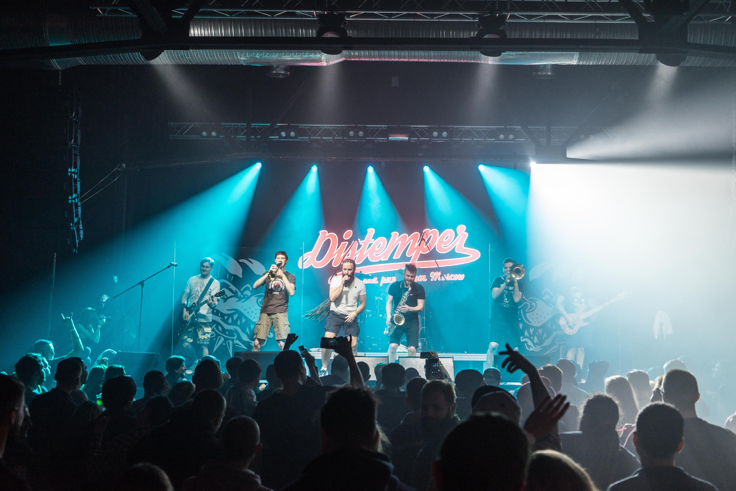 Distamper. Твой фотограф — Полосатый кот