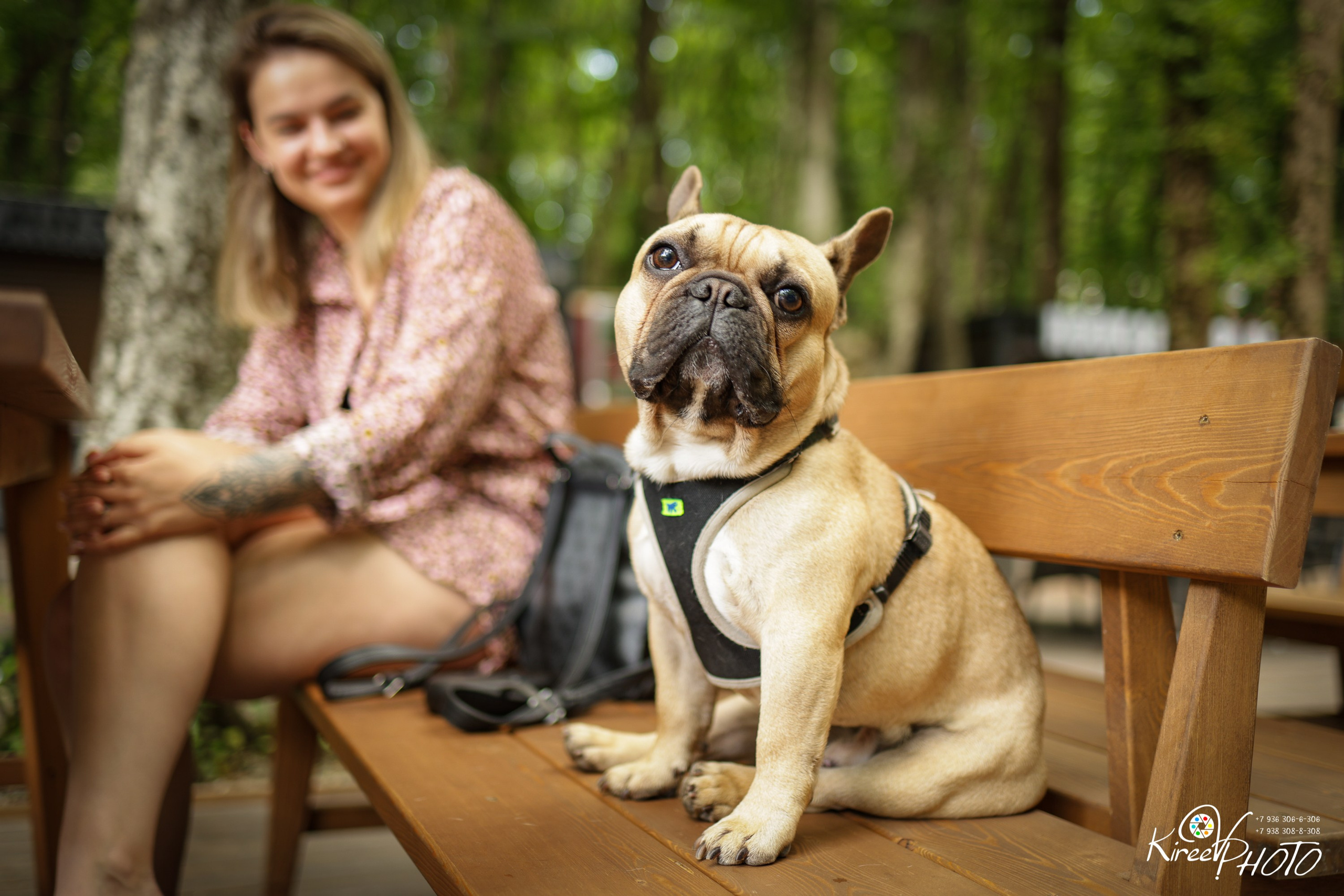 dog friendly Парк Победы