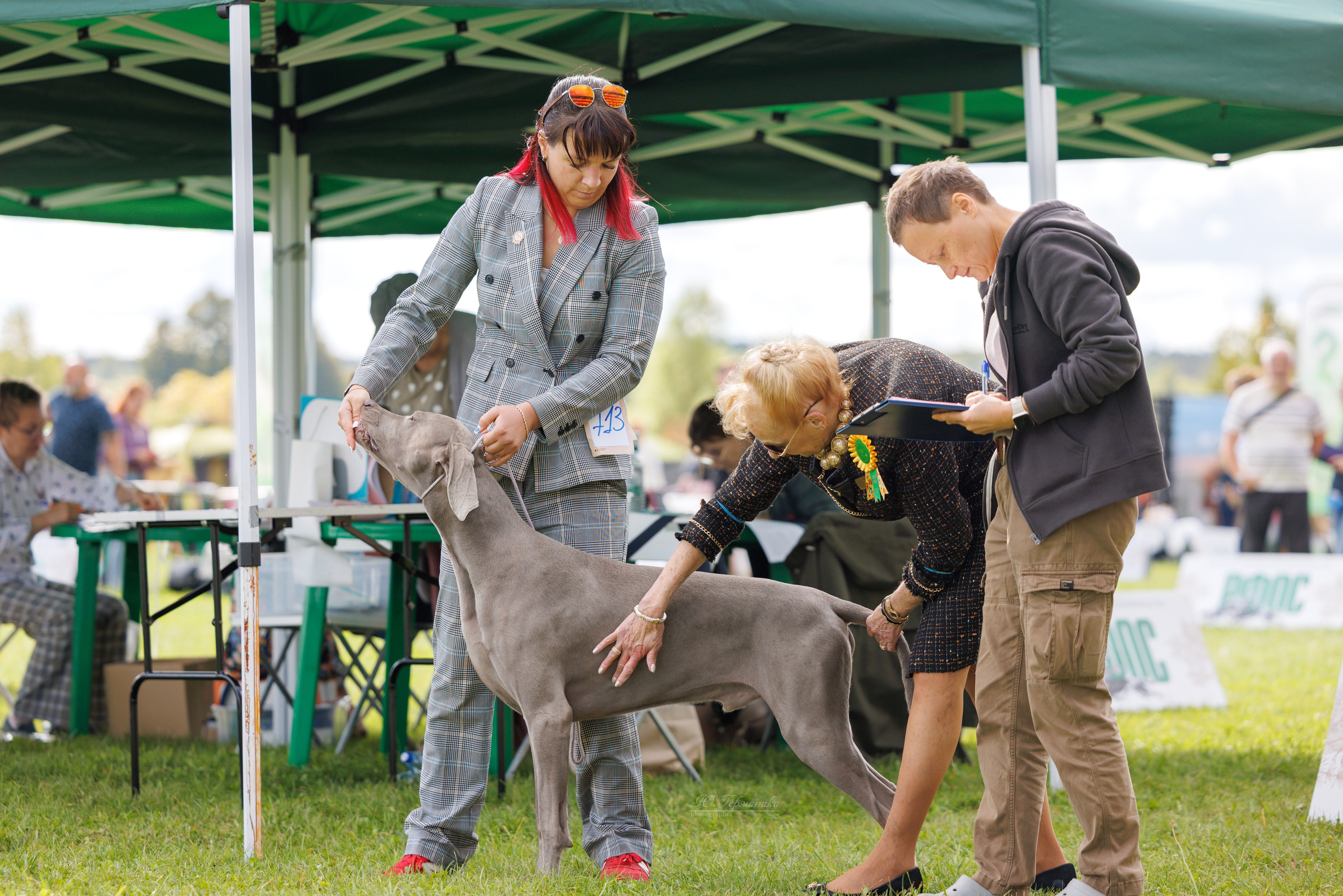 Переславль 5-7.08.2025. Фотограф-анималист Юлия Германика