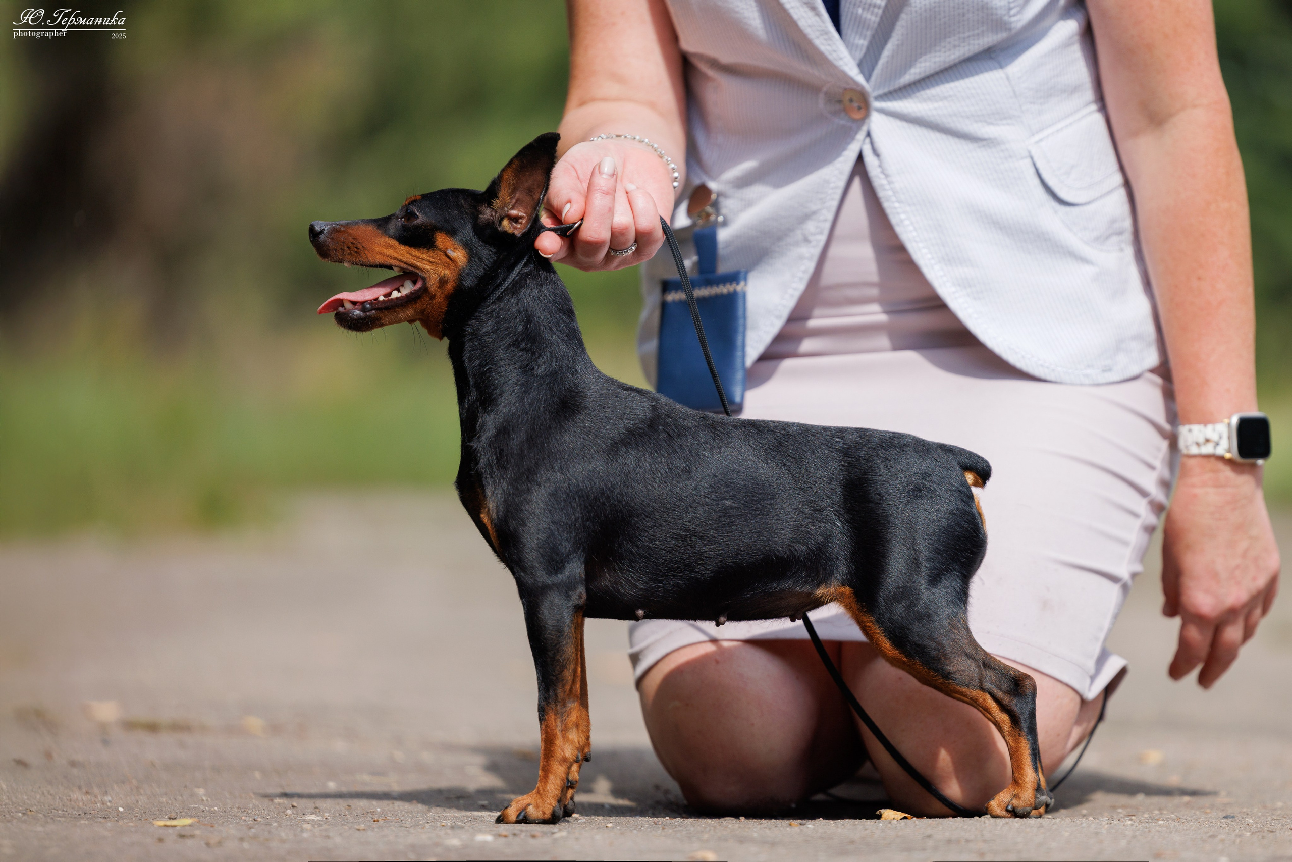 Тверь 10.08.2025. Фотограф-анималист Юлия Германика