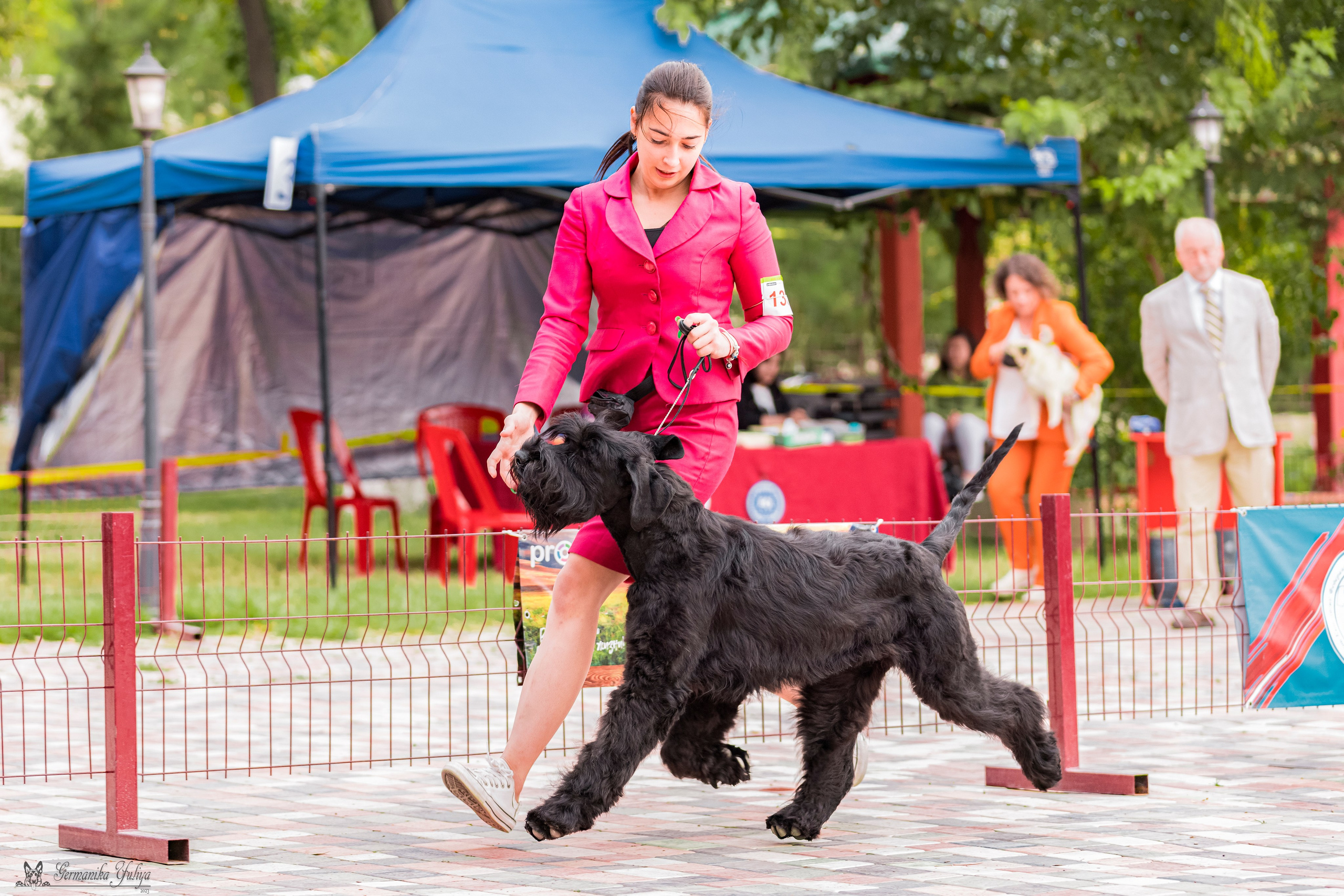 Ташкент 6-8.10.2023 + Алматы 14-15.10.2023. Фотограф-анималист Юлия Германика