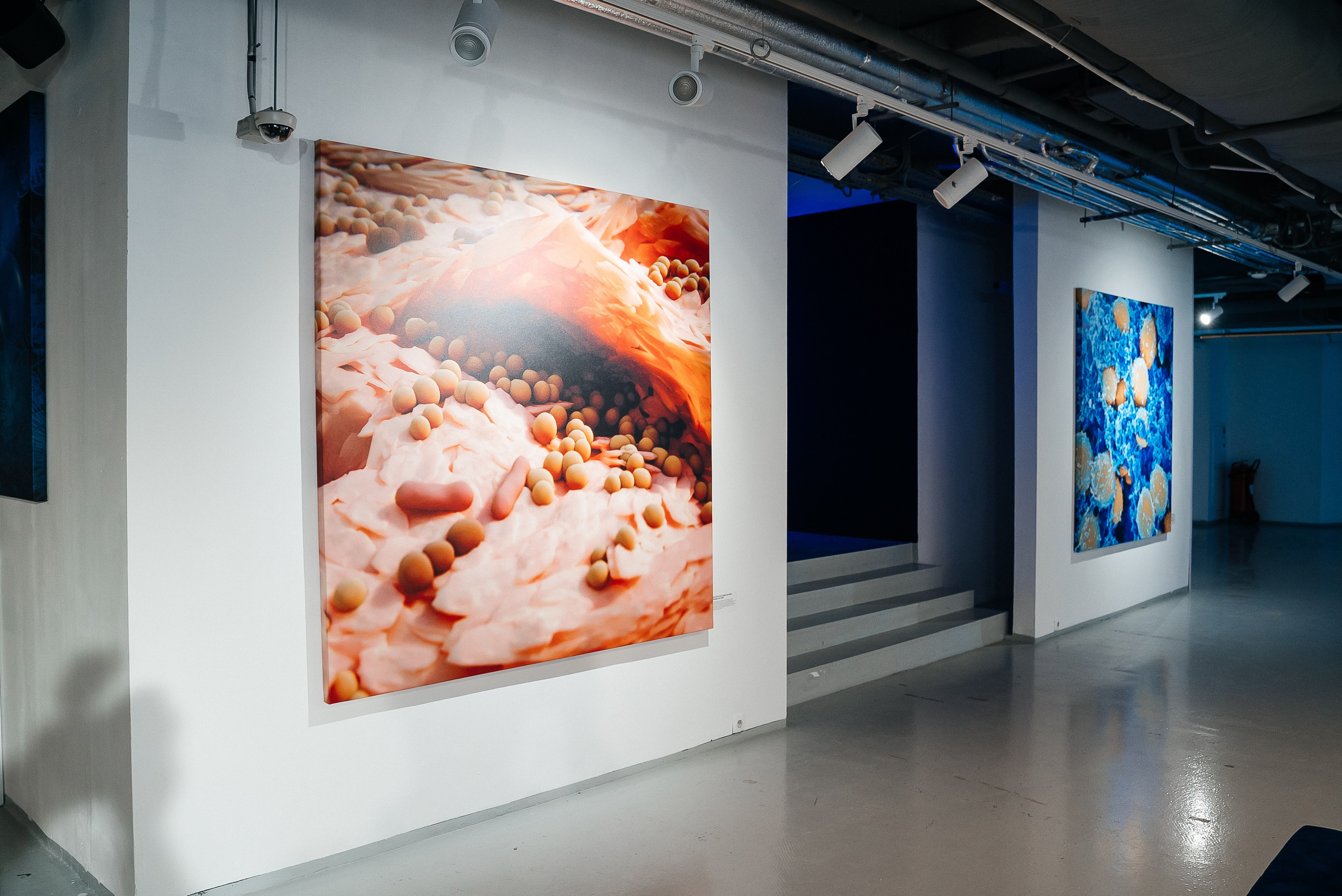 La Roche Posay. Павел Краснов — Свадебный и репортажный фотограф в Москве