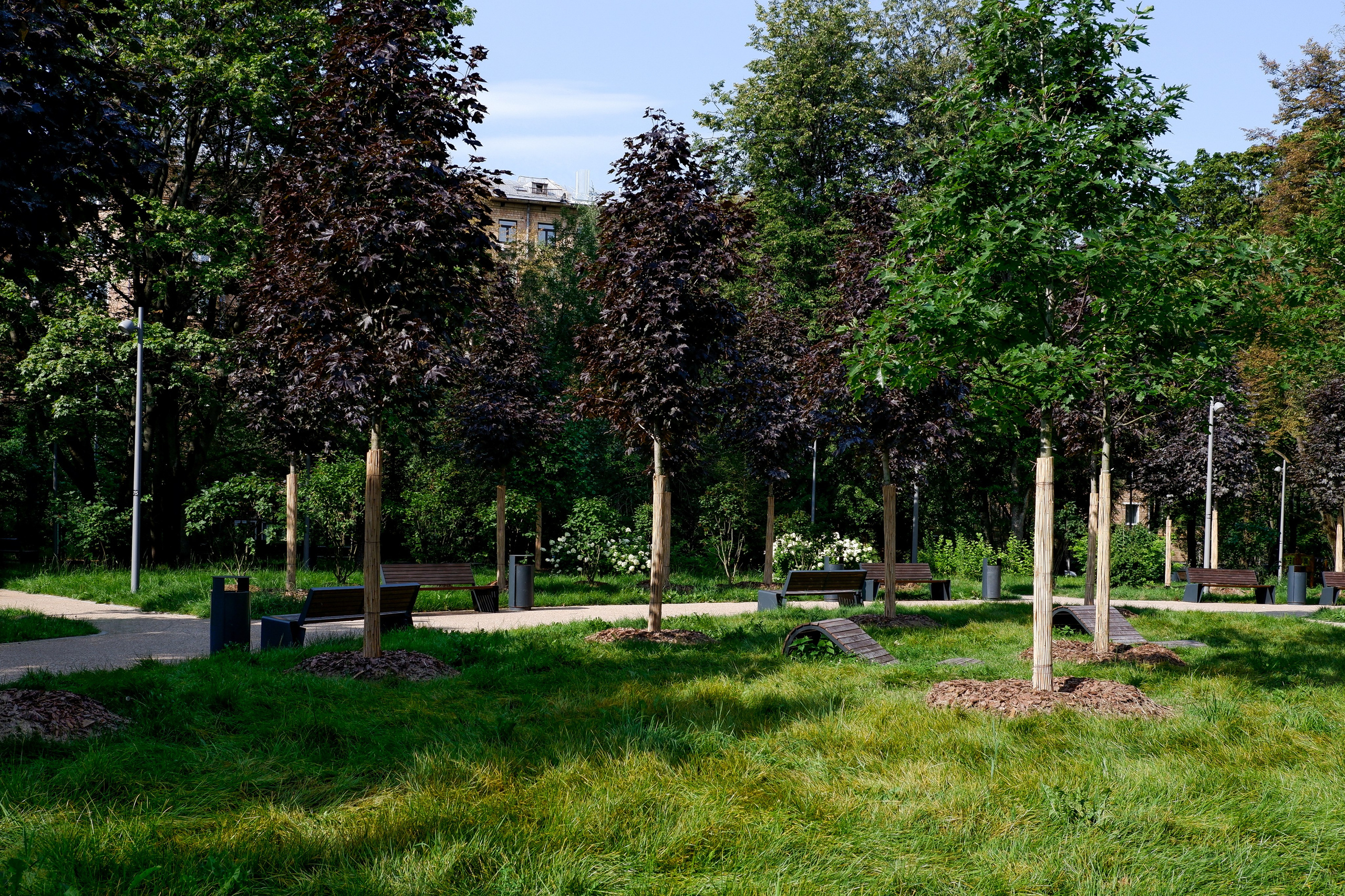 Благоустройство Ленинского проспекта. Михаил Мулач | Архитектурный фотограф