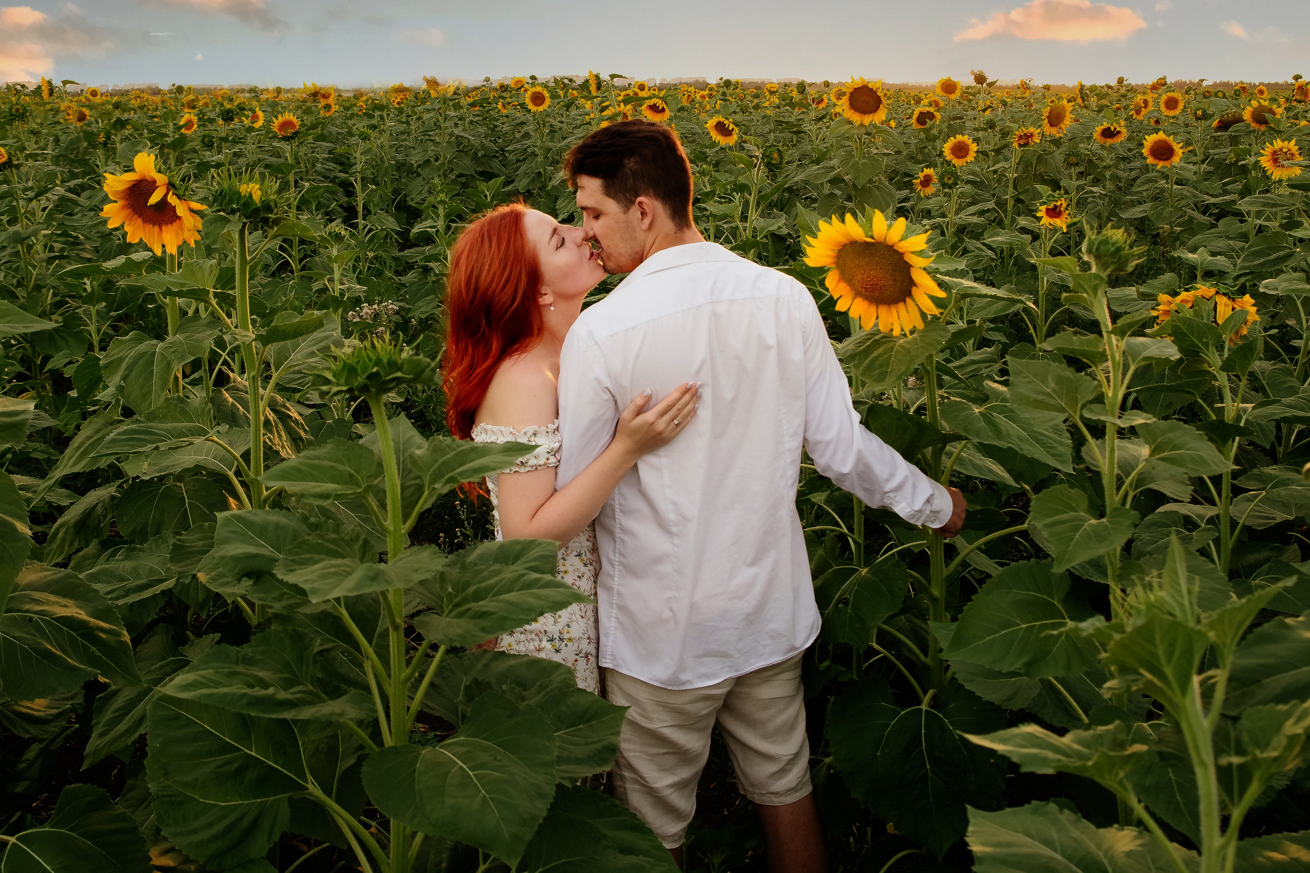 Подсолнухи. Свадебный и семейный фотограф в Краснодаре Илонна Ковалева