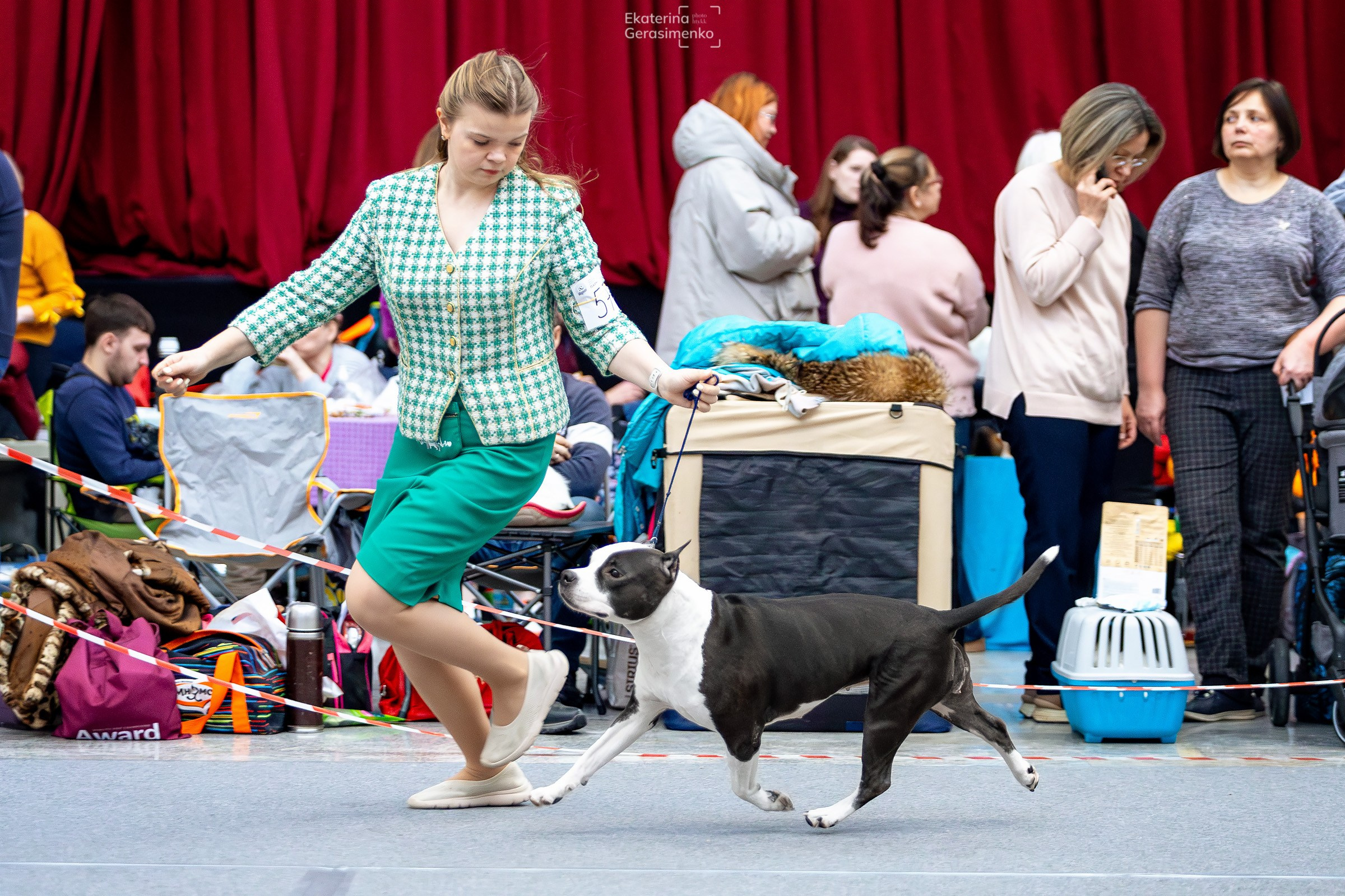 18 января 2025, Выставка РКФ, г. Пермь. Htykk_photo