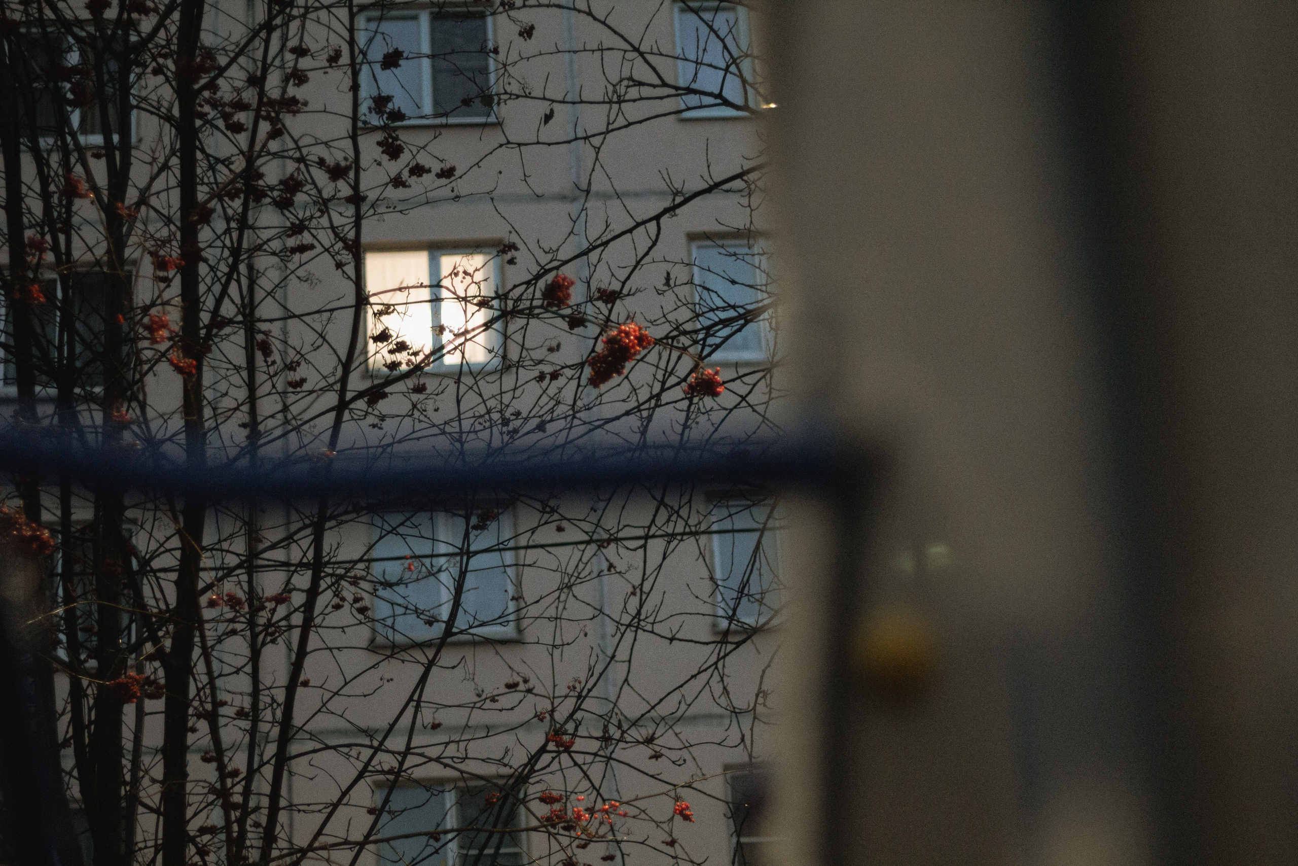 Осень-зима. Фотограф Москва, портрет, стрит, репортаж. Художественная фотосессия