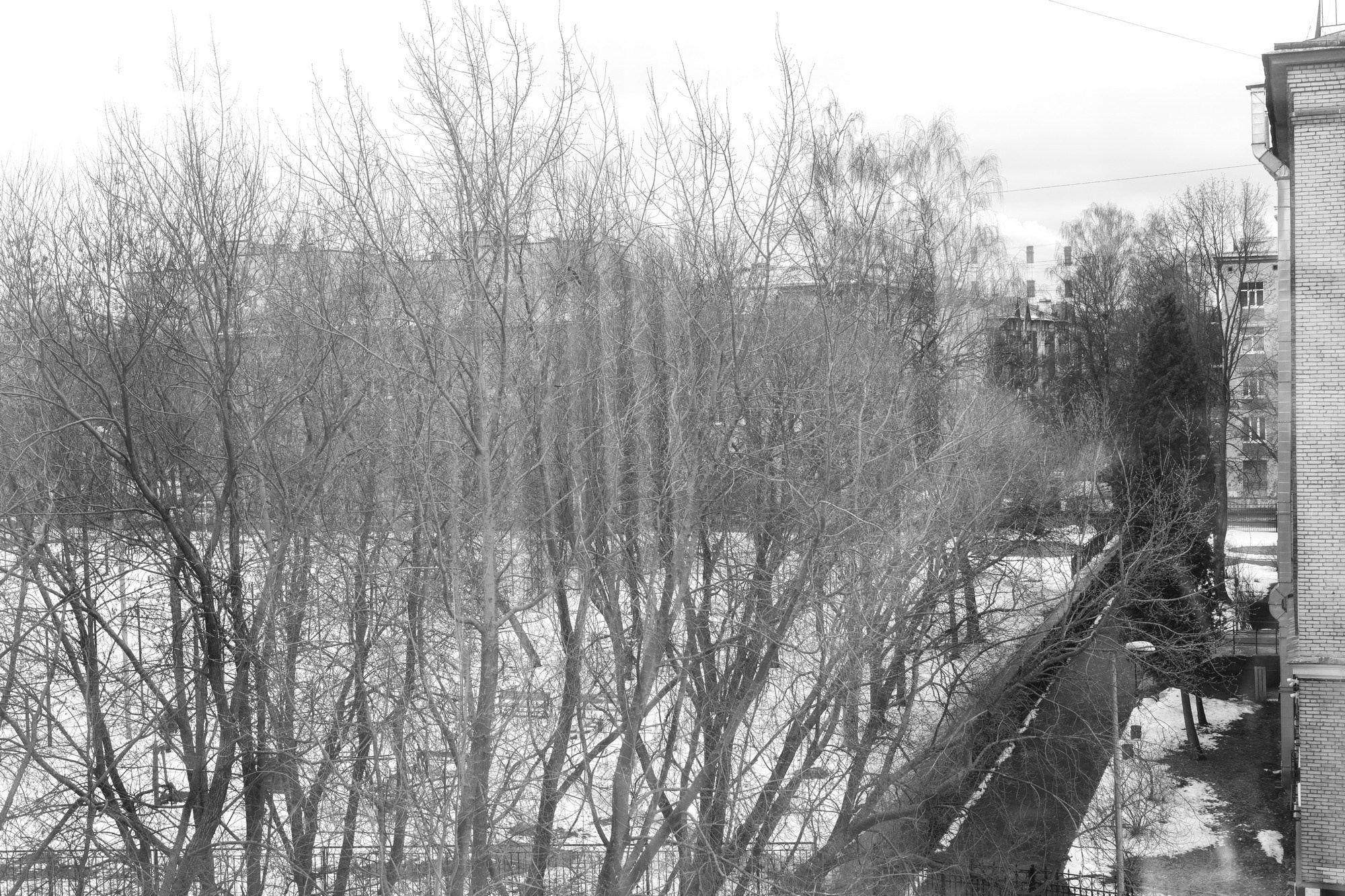 Инженерные кадры России. Репортажная съёмка в Санкт-Петербурге, Константин Петров