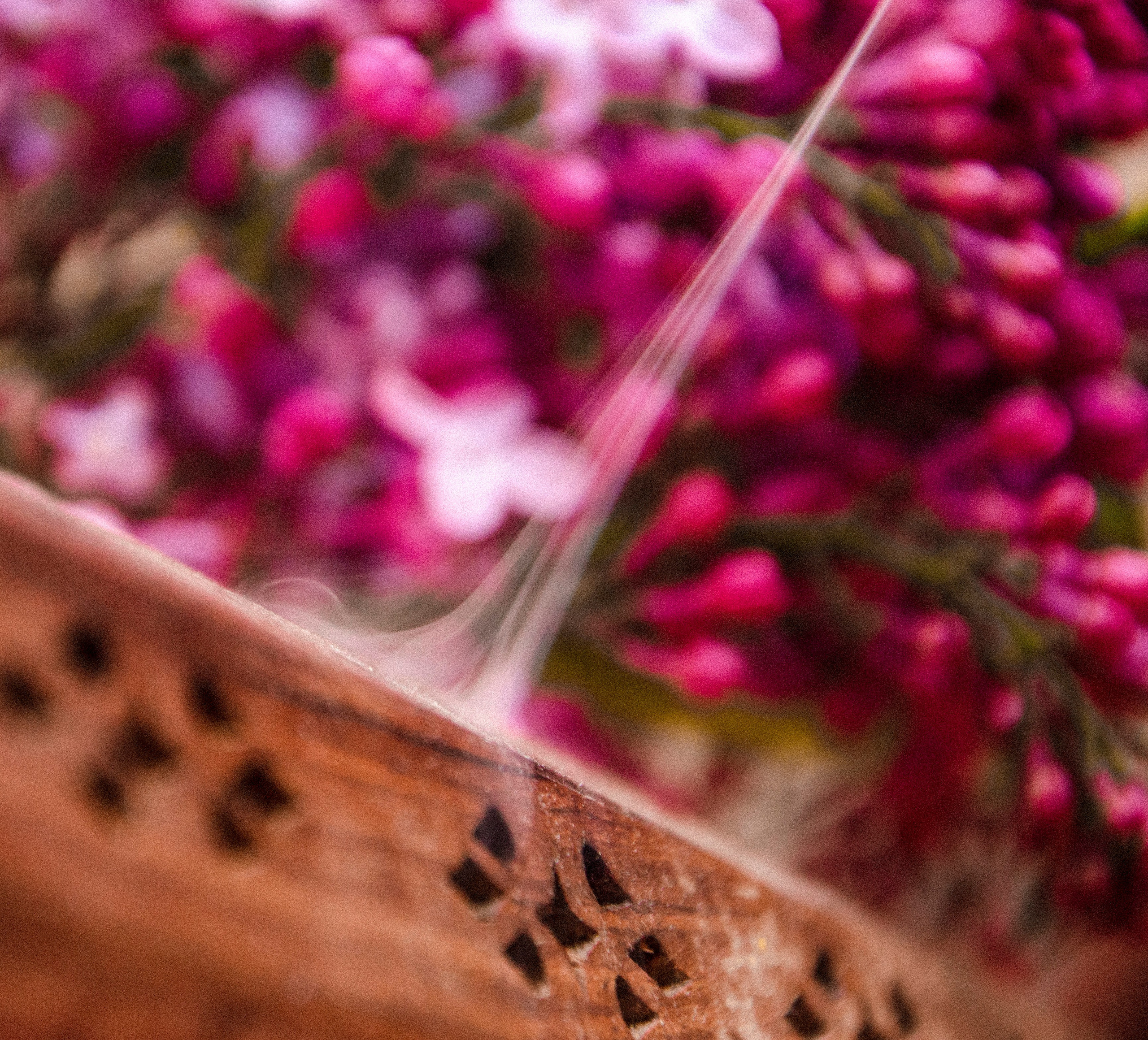 ФАКТУРКИ и ДЕТАЛЬКИ. Фотограф Татьяна Андриянова