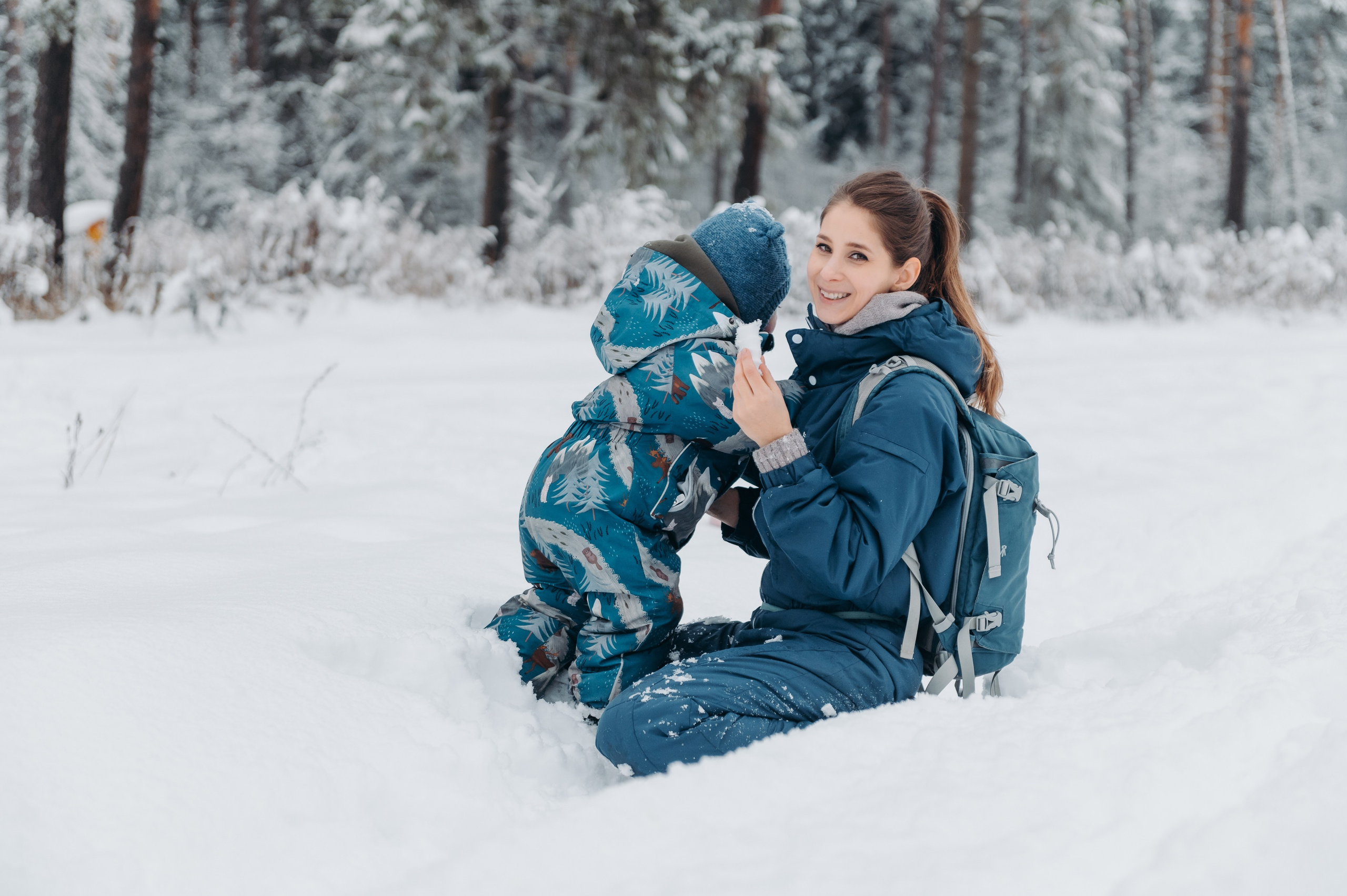 Снежная прогулка. Главная