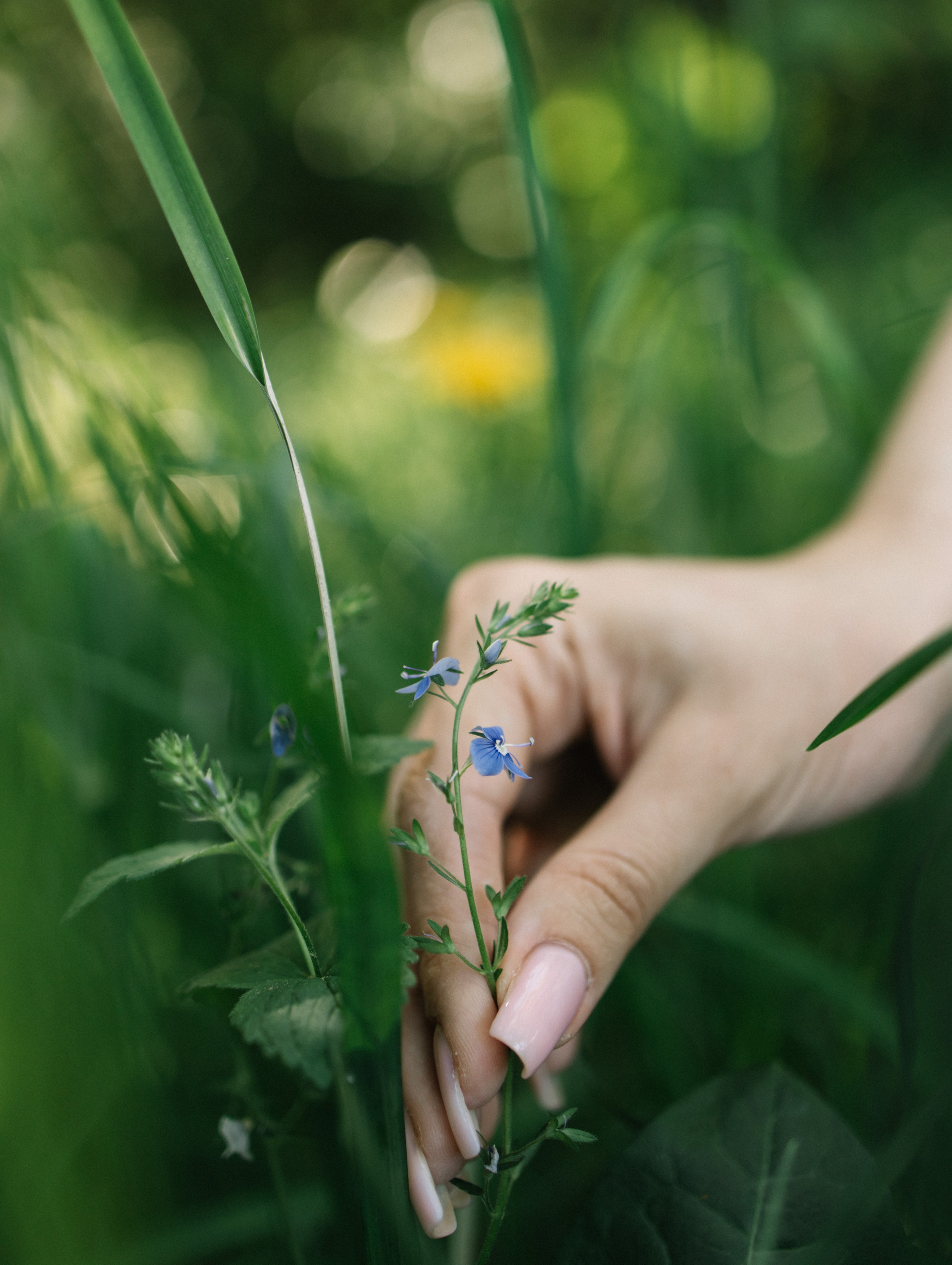 Екатерина. Фотограф Дарья Соколовская