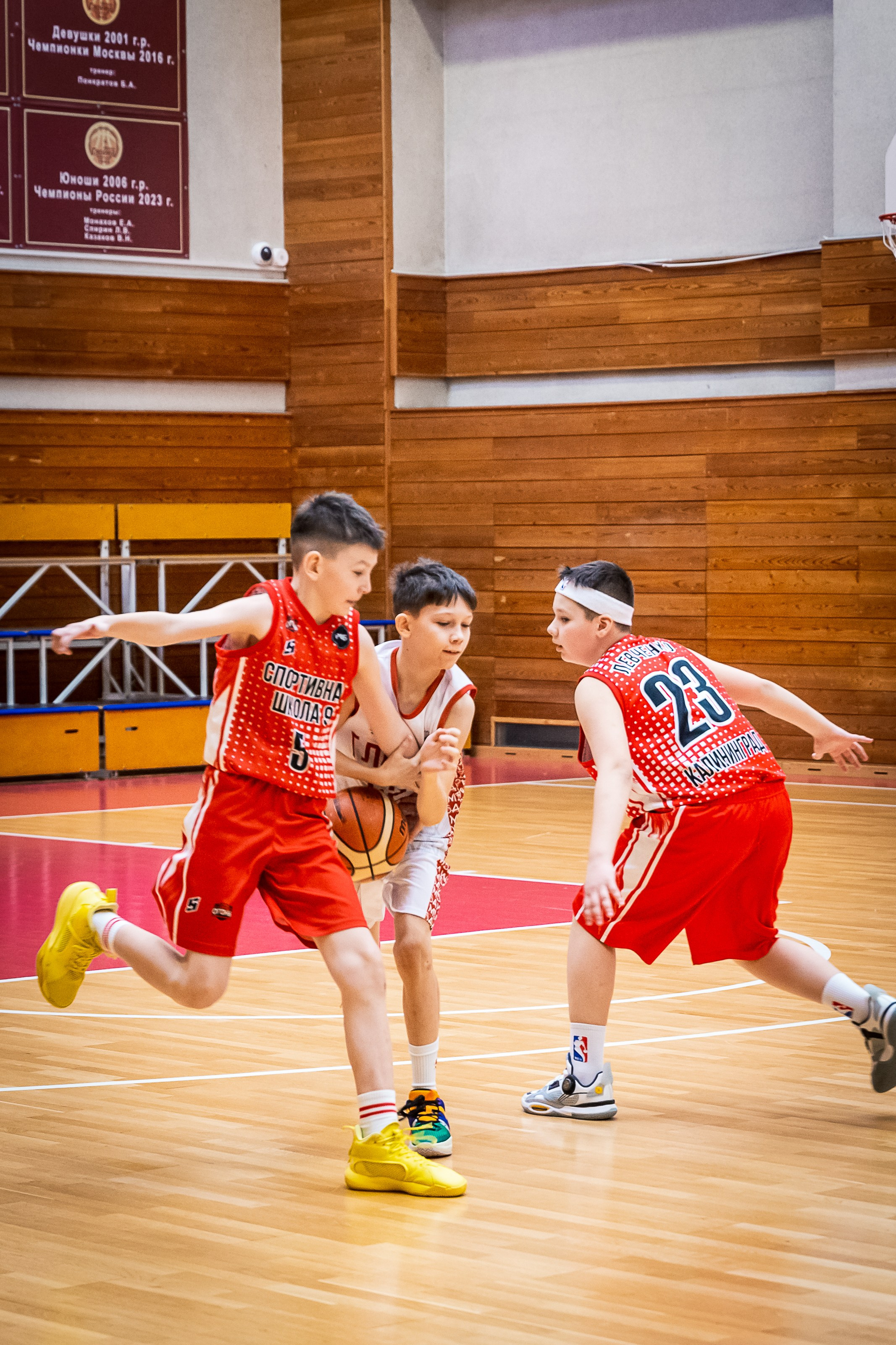 Фотосессия для баскетболистов СШОР Глория. Школьные фотографы «НЕБУРАТИНО»