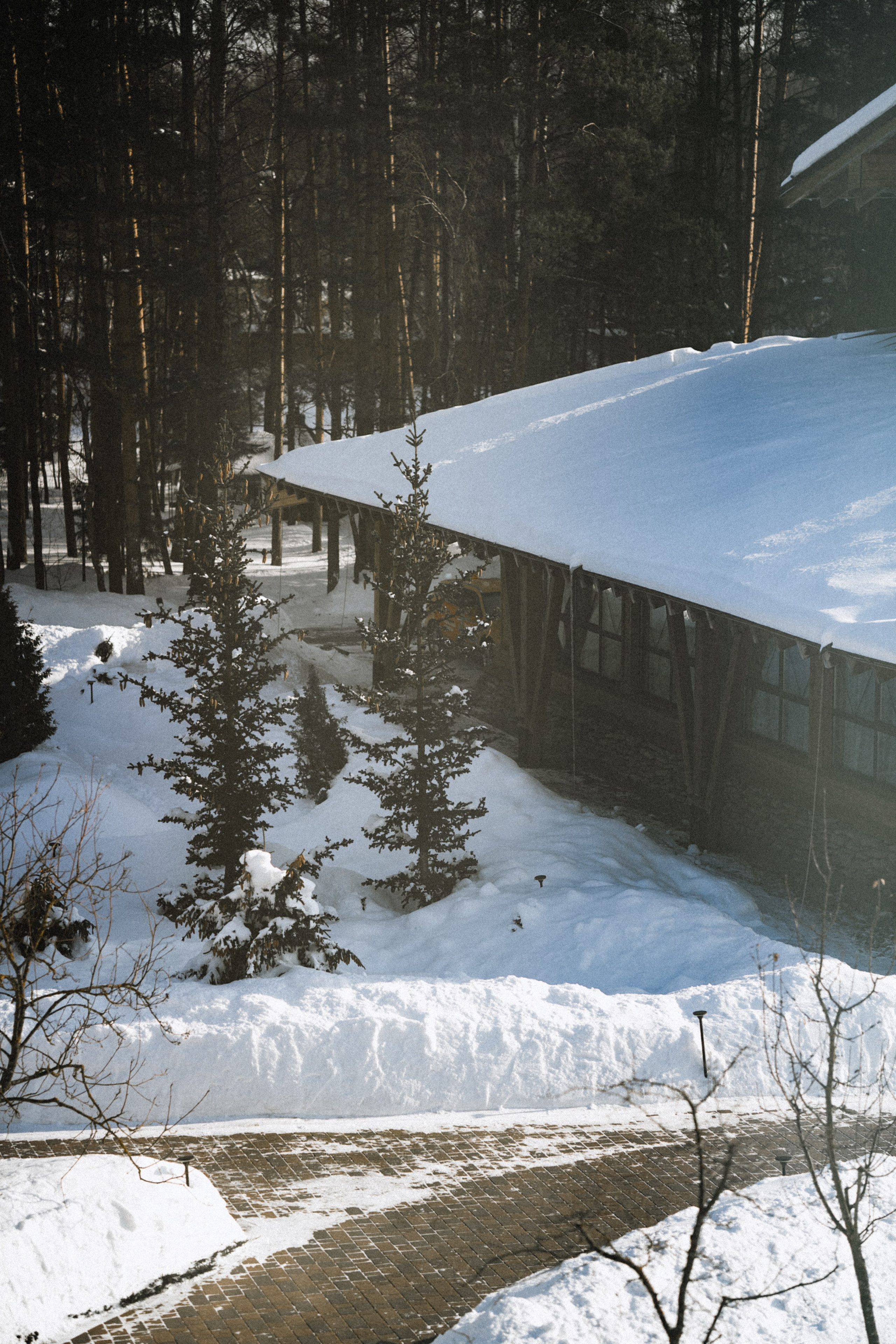 A&E. Фотограф Москва. Екатерина Дударевич