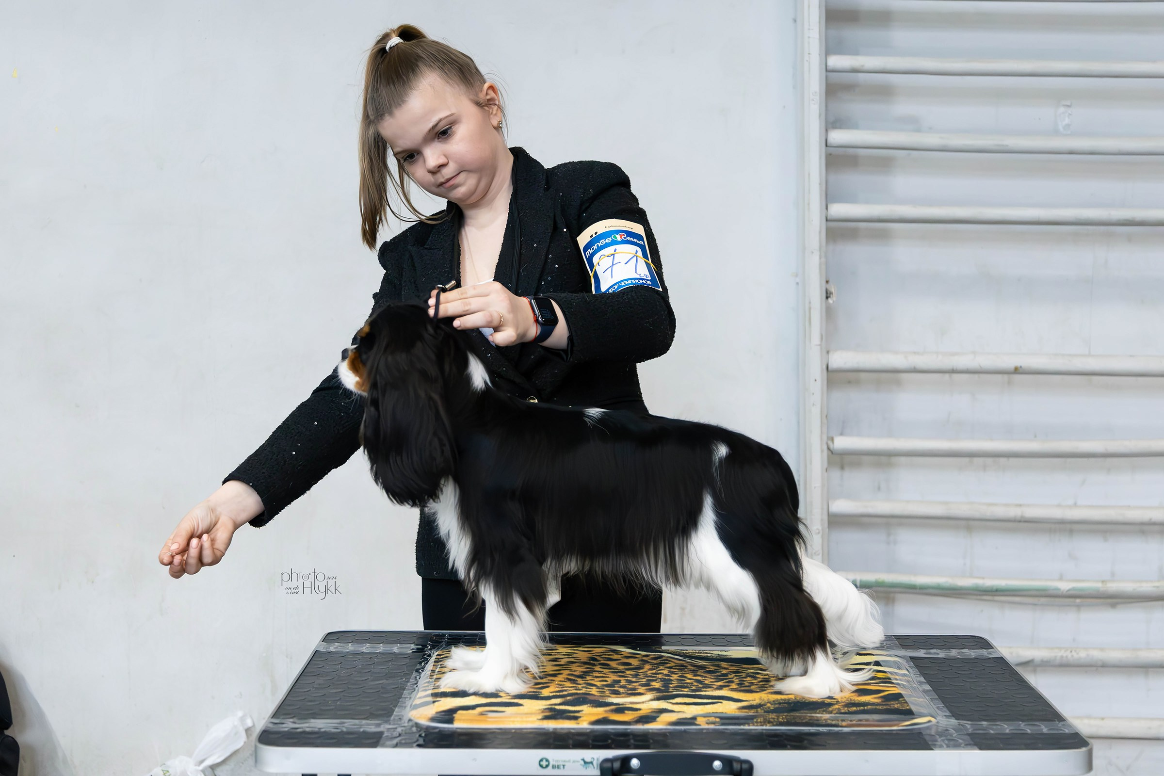 7 апреля 2024, Выставка РКФ, г. Пермь. Htykk_photo