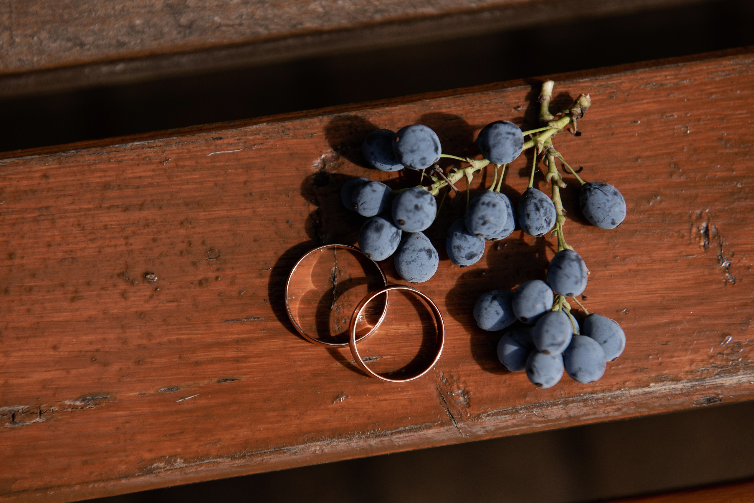 Иван и Юлия. Семейный и свадебный фотограф в Ельце Юлия Дякина