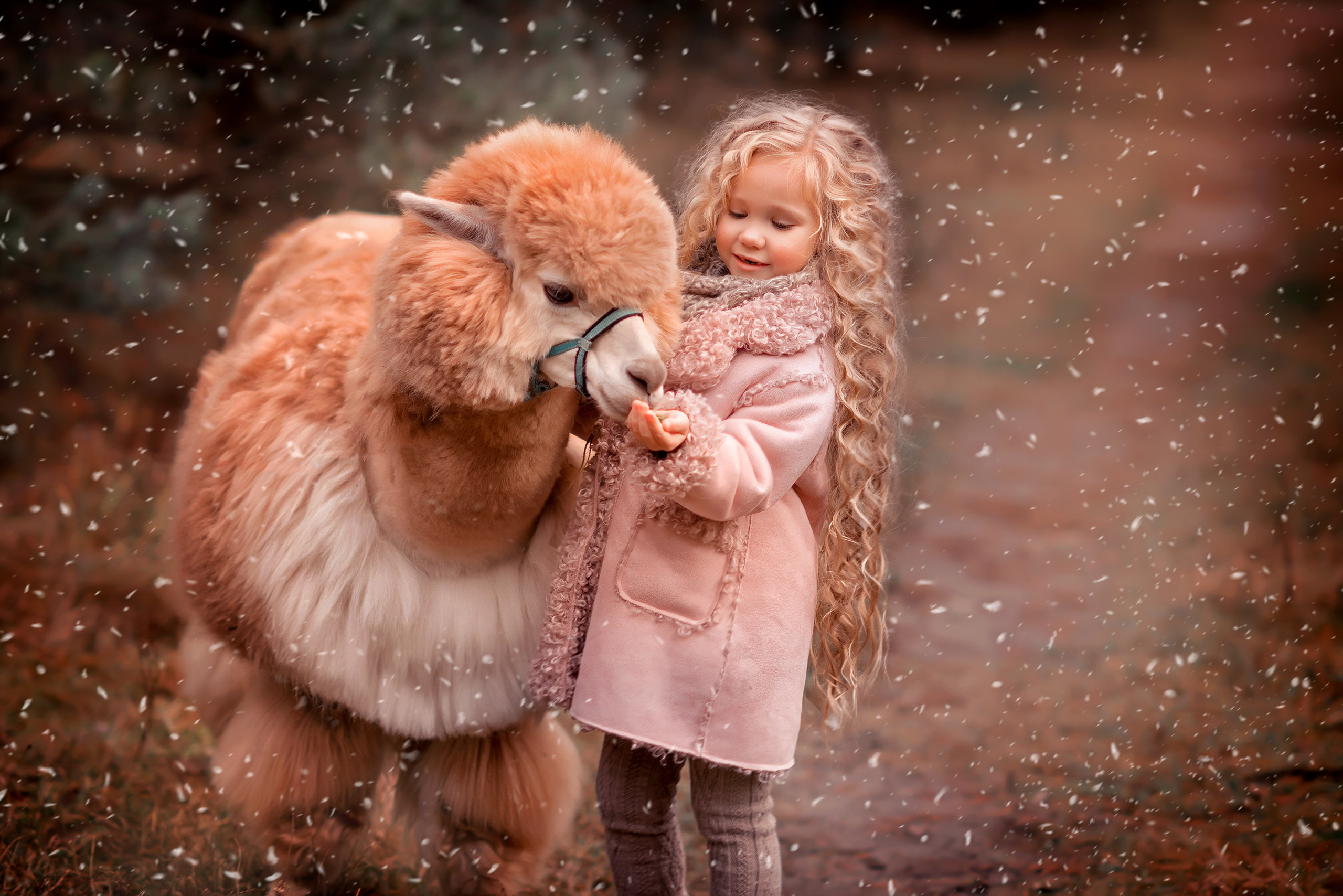 Обучение фото