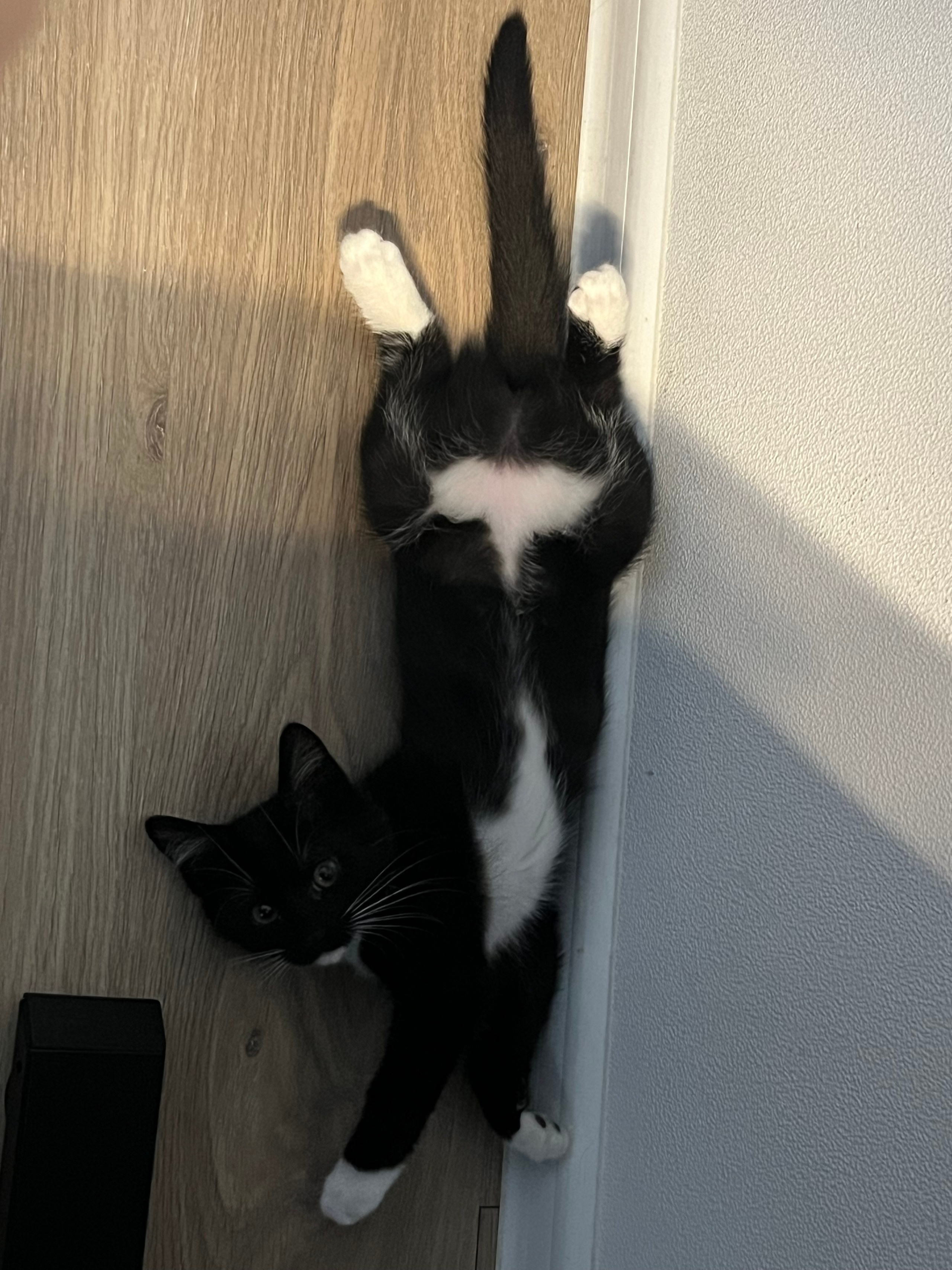 Визуальный дневник. Портретный фотограф в Москве Гахраманова Екатерина