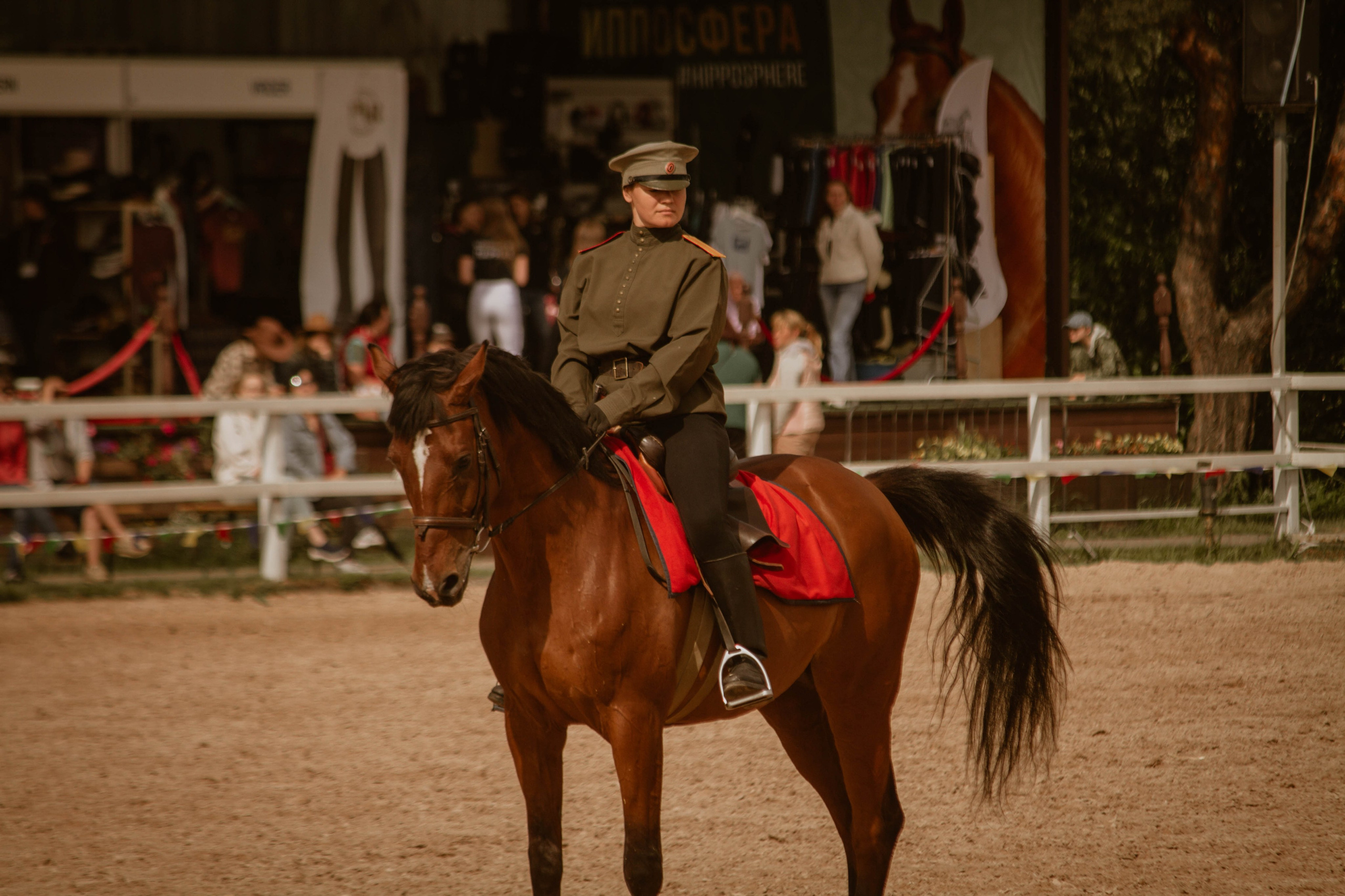ИППОСФЕРА — Международная конная выставка. Создадим шедевр? Виталина и её фотоискусство