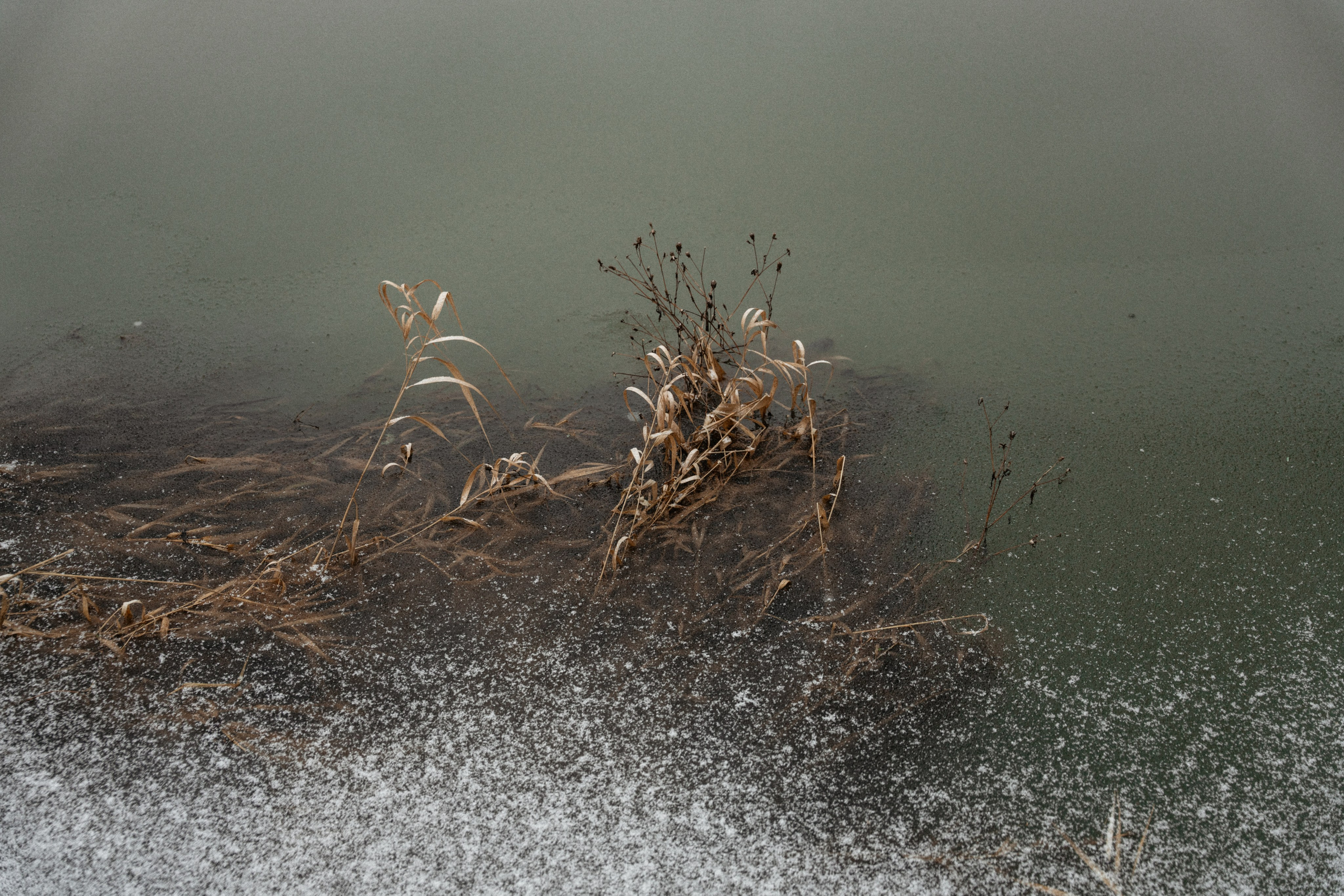 Прогулка по оврагу близ реки. Vlad Trykov