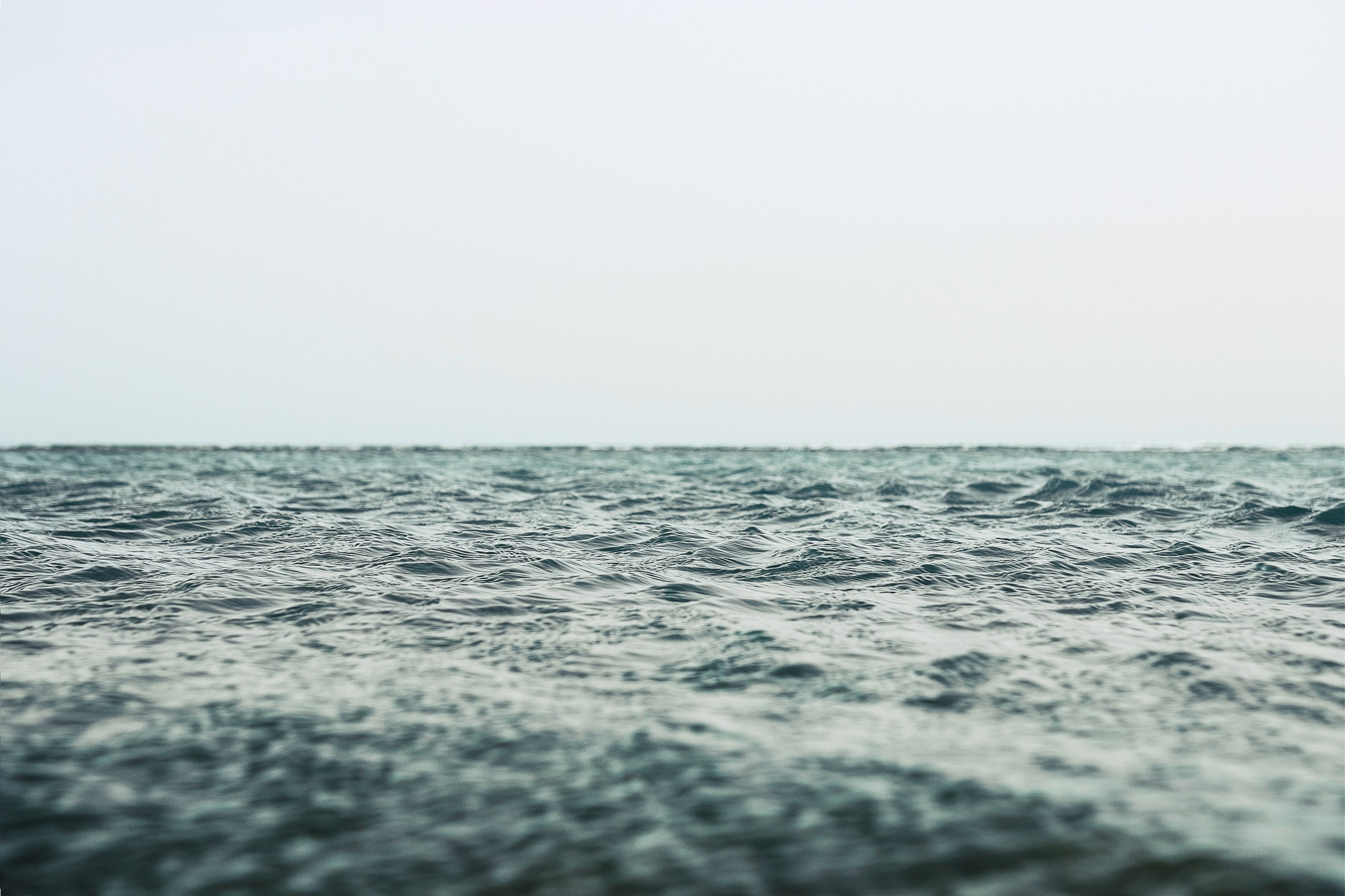 Жизнь. Фотограф Алматы | Весь мир — Никита Колодин