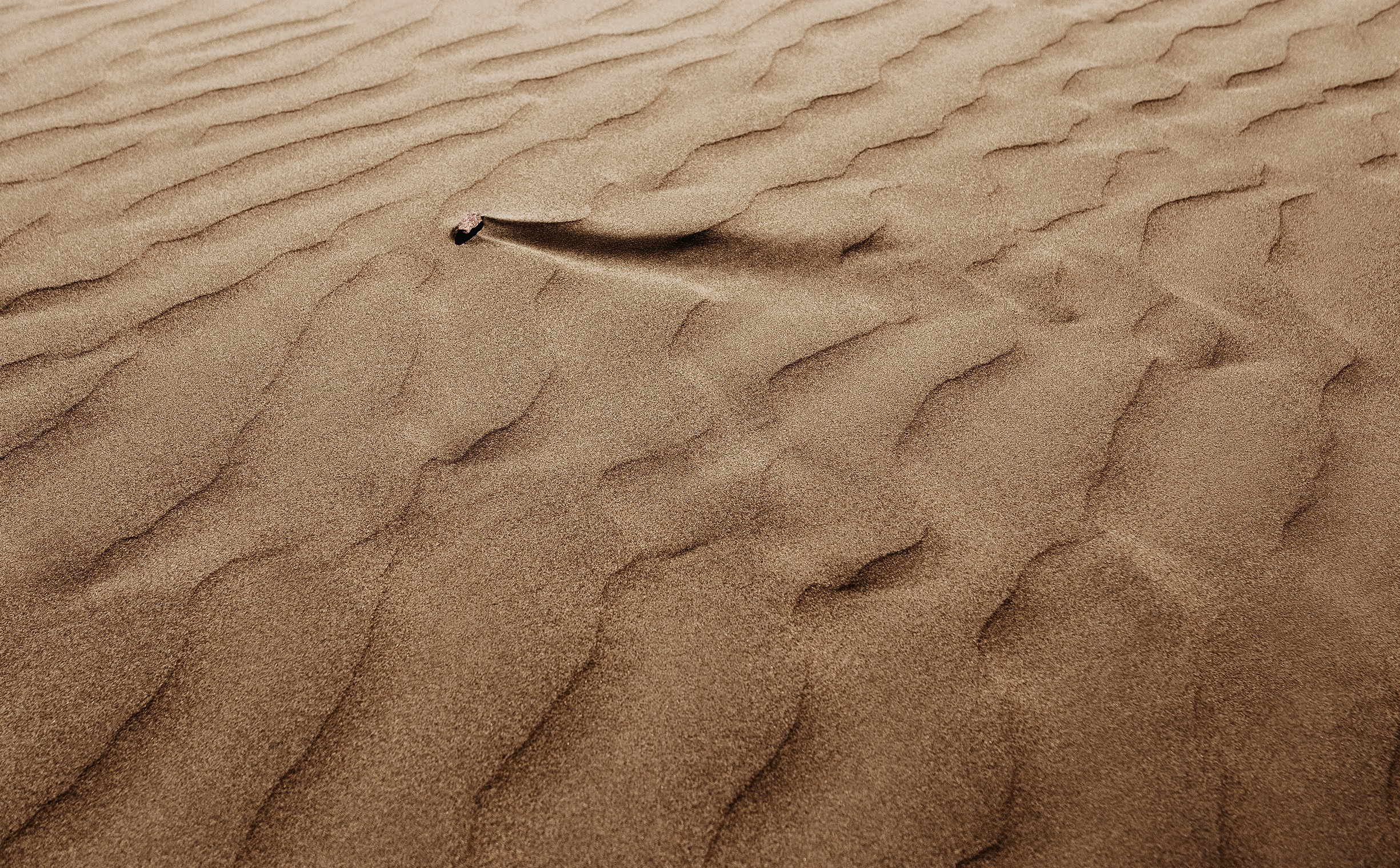 Жизнь. Фотограф Алматы | Весь мир — Никита Колодин