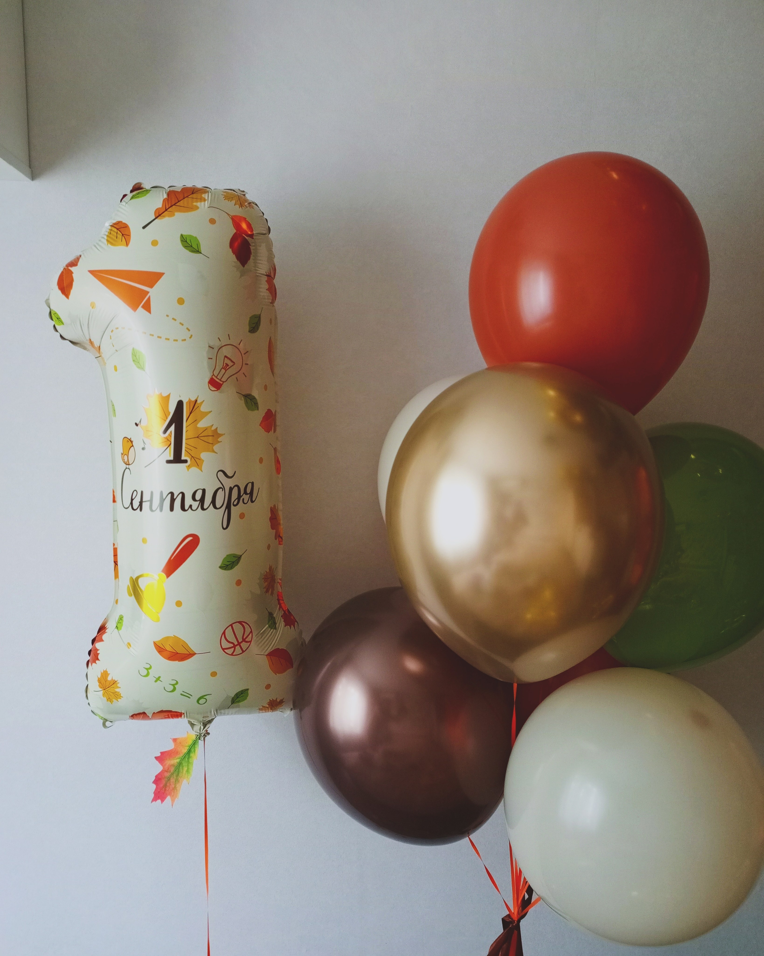 1 сентября. Аэродизайнер Елена Лин