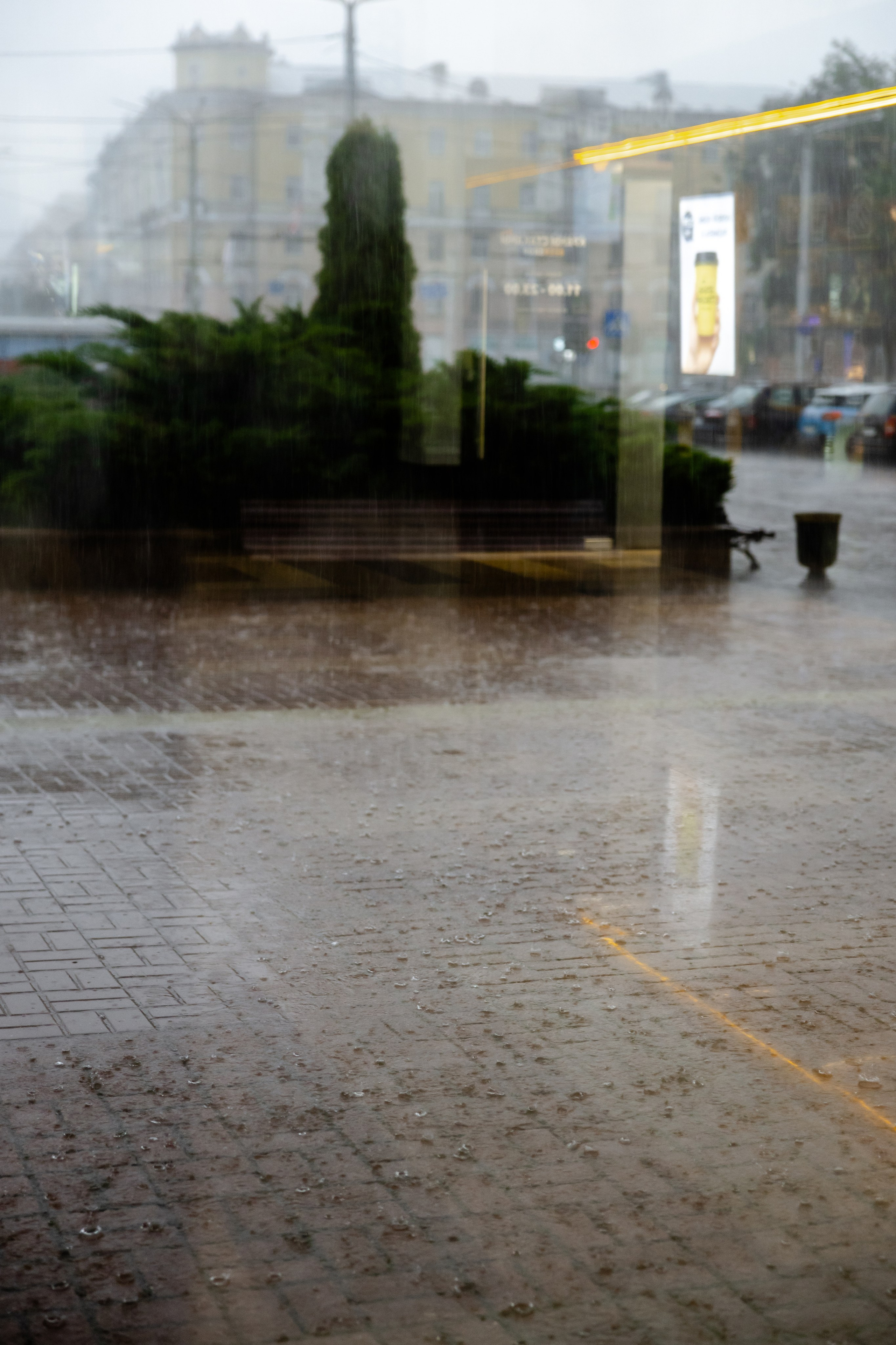 Илья и Евгения. Свадебный фотограф Анна Бабахина