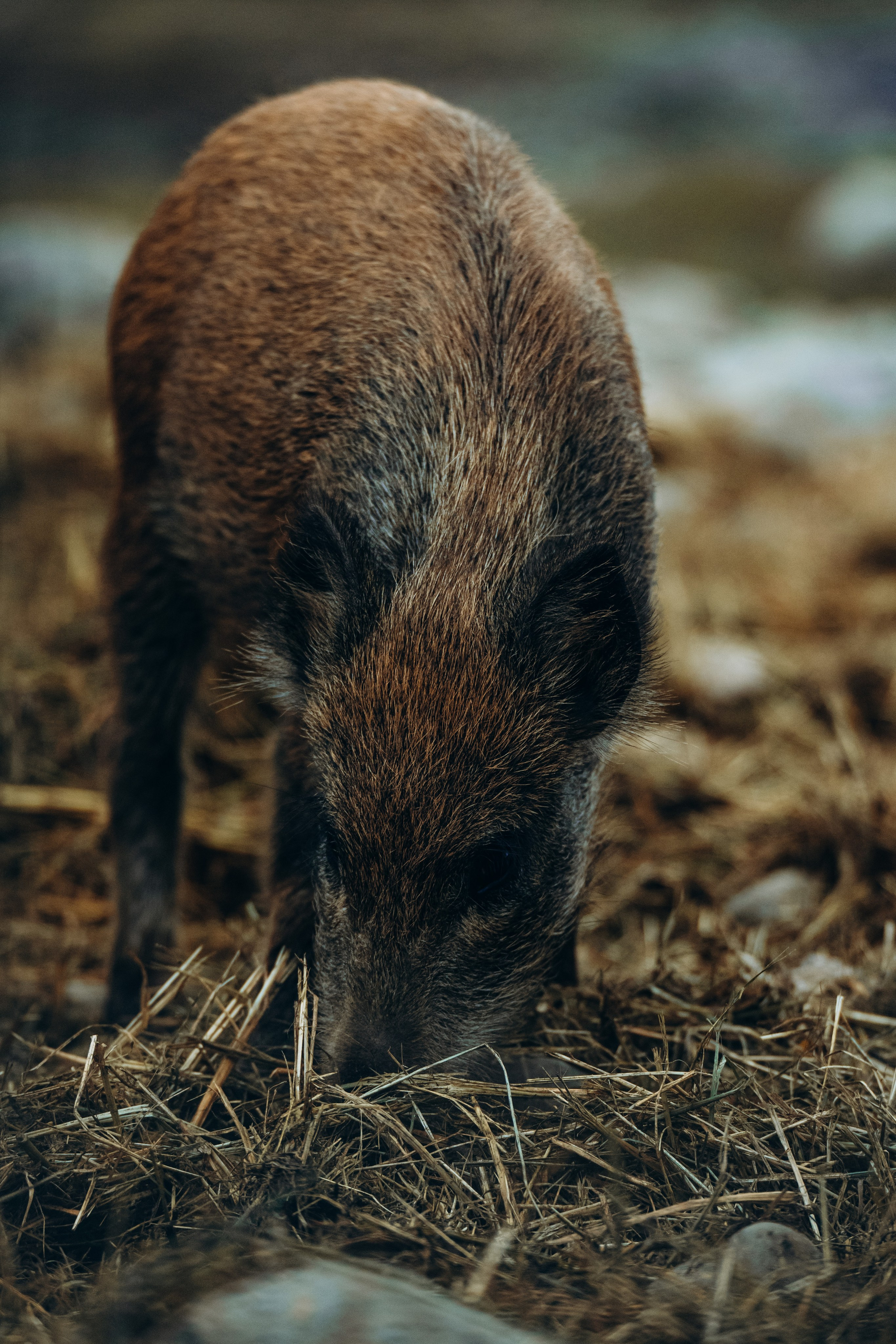 СЕВЕР. Event фотограф Степанова Александра