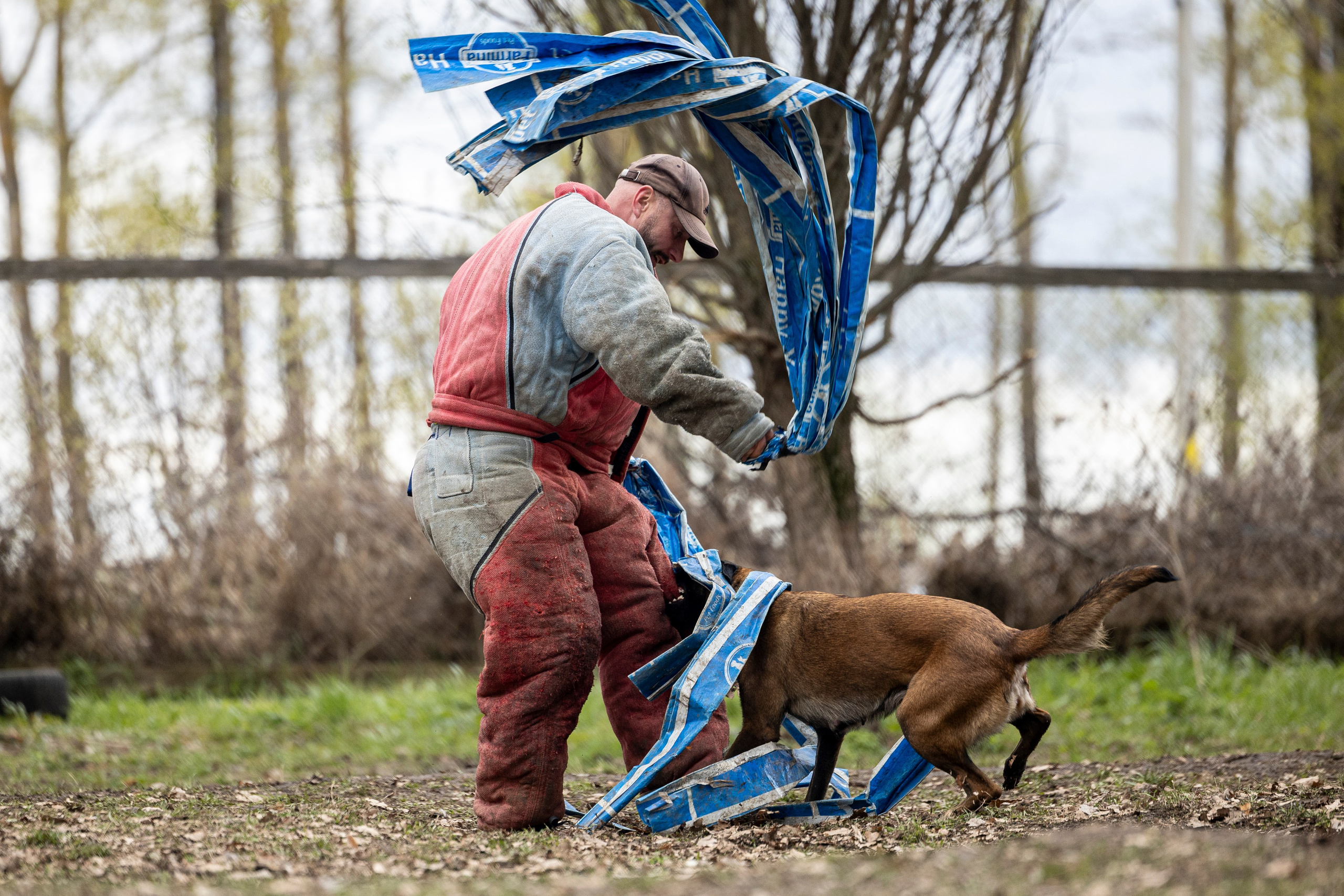 Квалификационные состязания по мондьорингу г. Вологда 11.05.24. Фотограф-анималист Анна Маринич