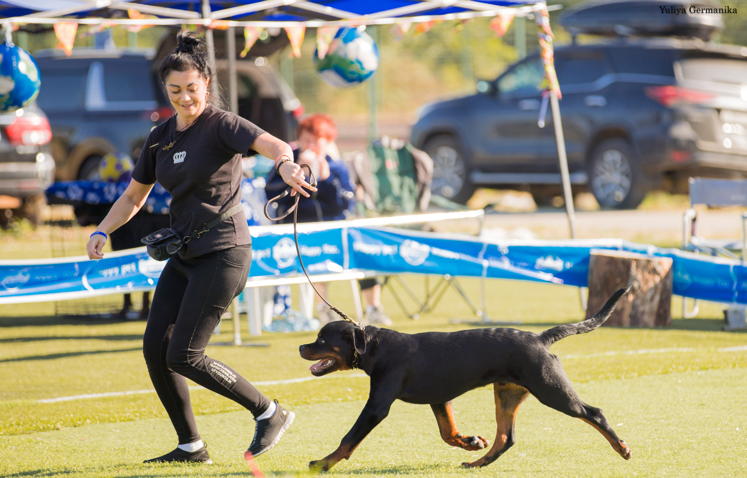 Анапа 16-17.09.2023 моно ротвейлеров. Фотограф-анималист Юлия Германика