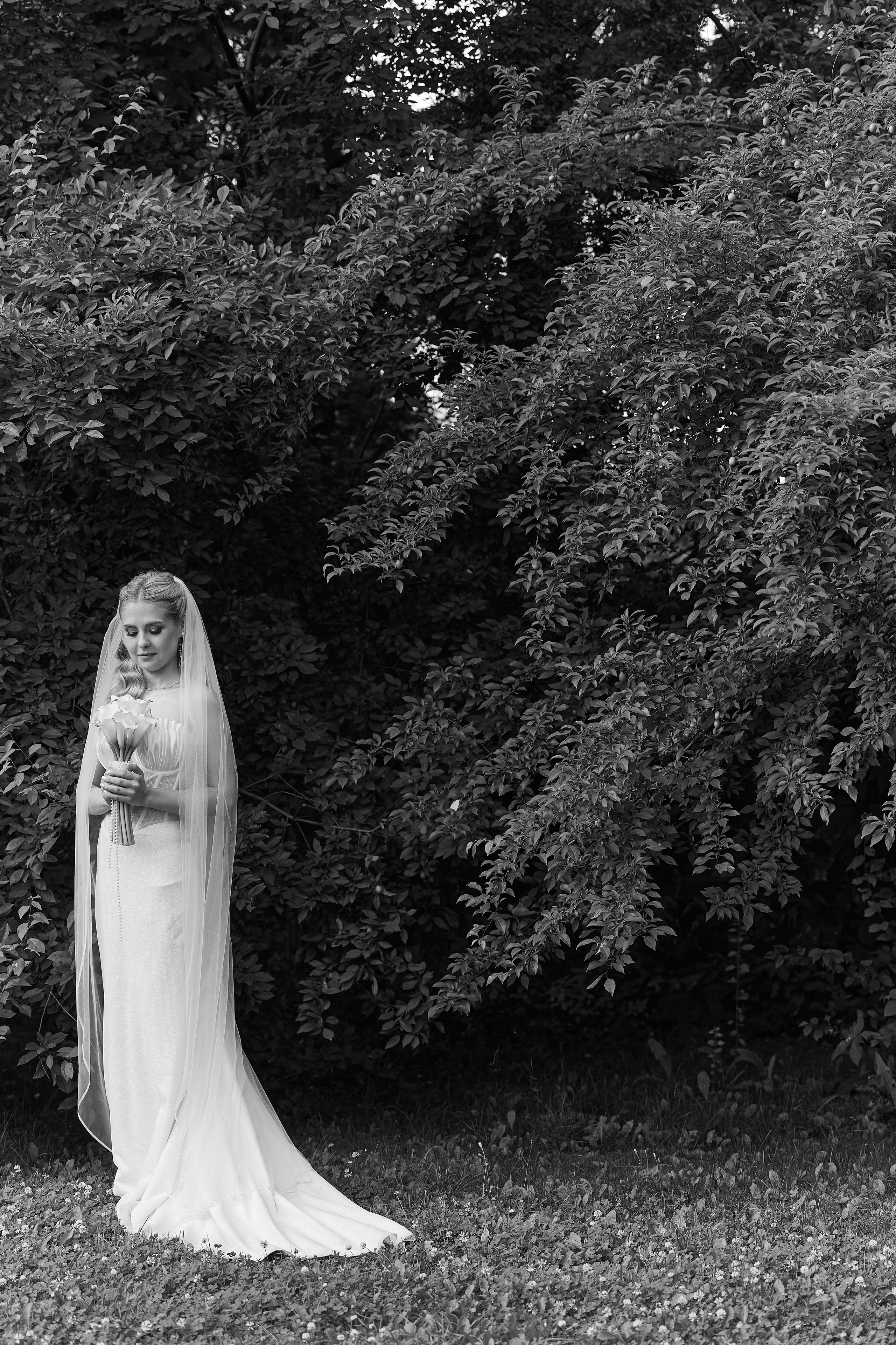 Тим и Марго. Kharchenkotatianaweddingphoto