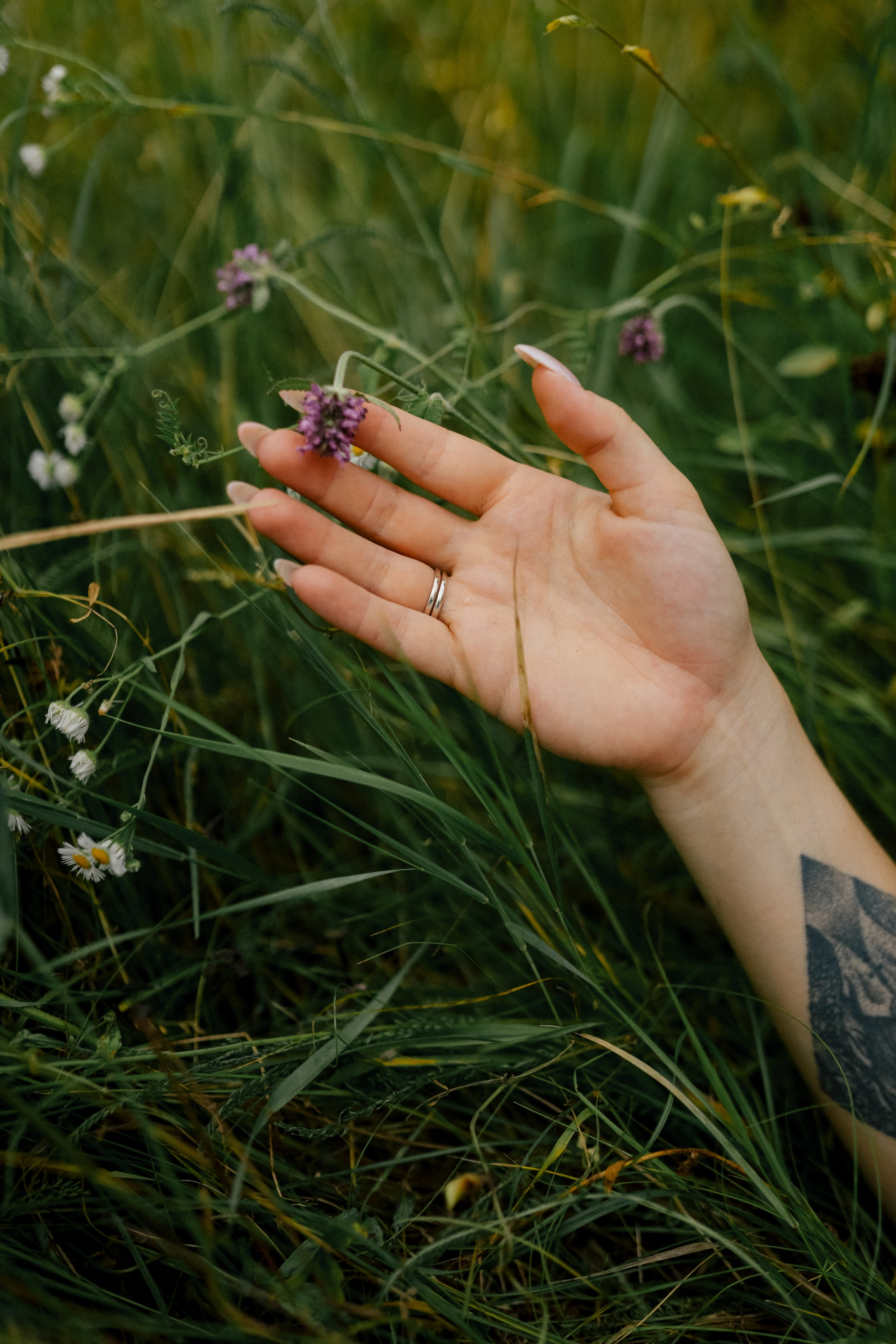 Лісова пісня. Свадебный и семейный фотограф в Варшаве