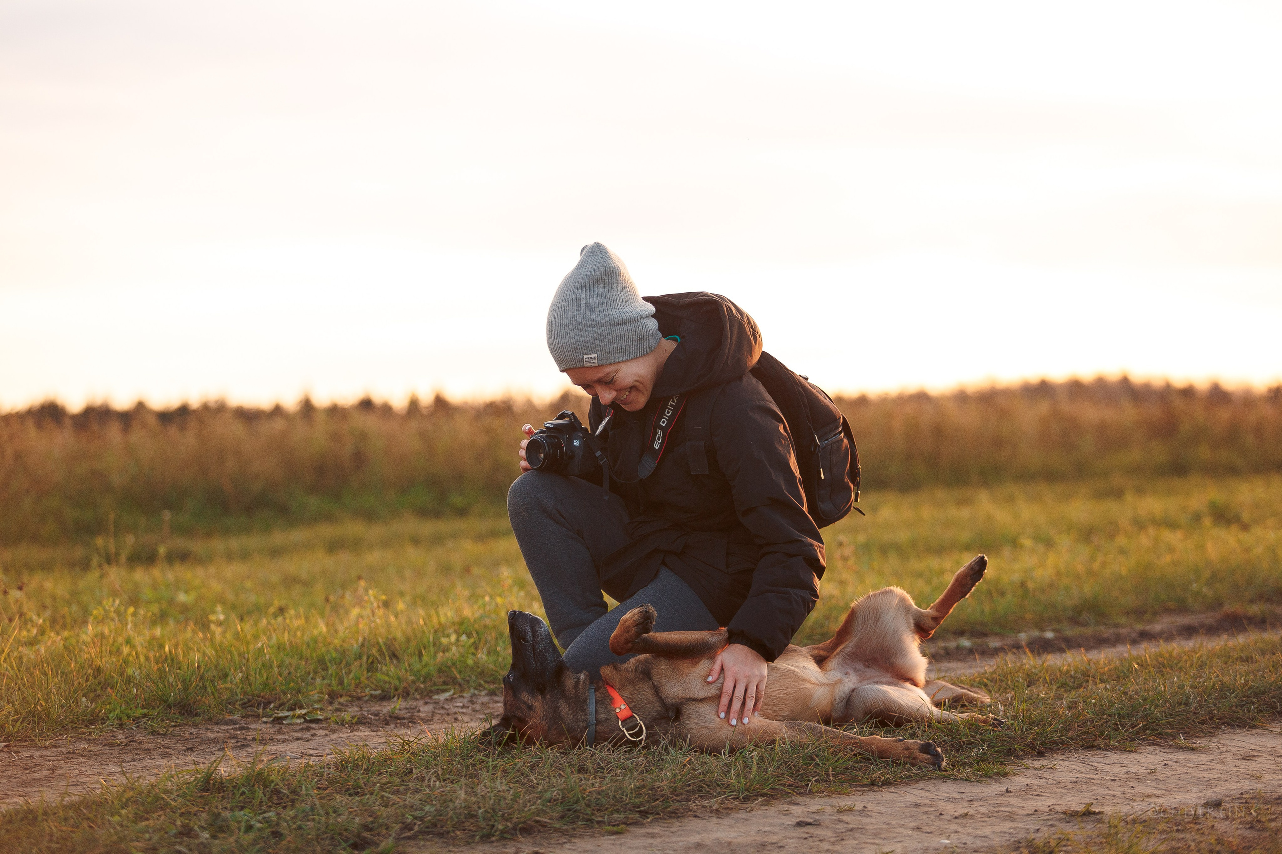 Октябрьский закат в полях. Алина и Лео. Фотограф-анималист Наталия Чистюхина в г. Сосновый Бор и ЛО