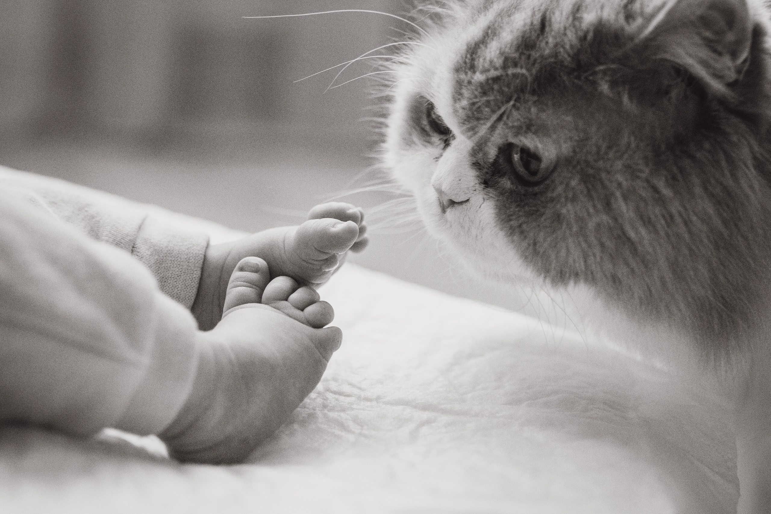 Александр, Мария и Павлуша