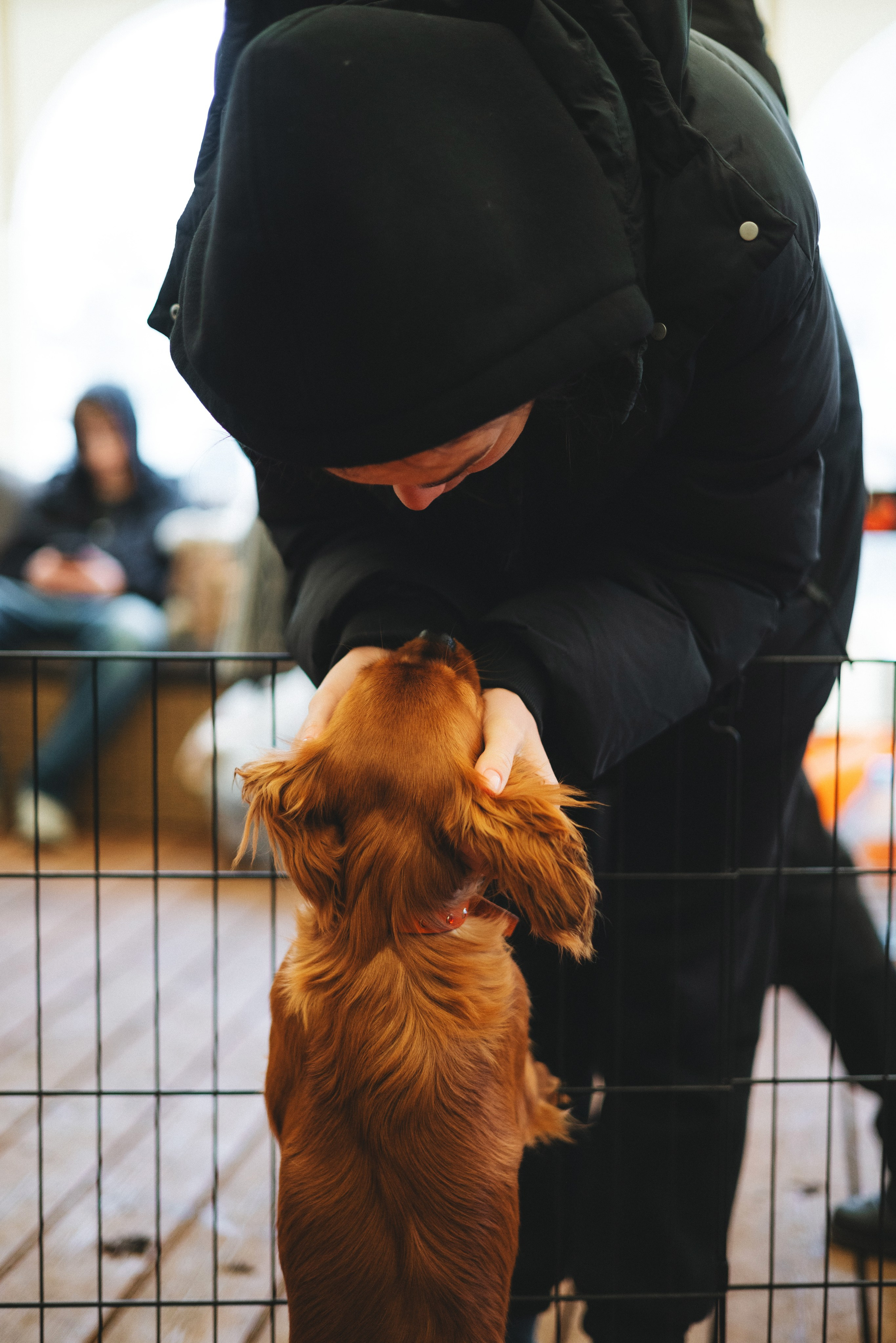 Встреча ККЧС. Фотограф анималист Осипчикова Мария