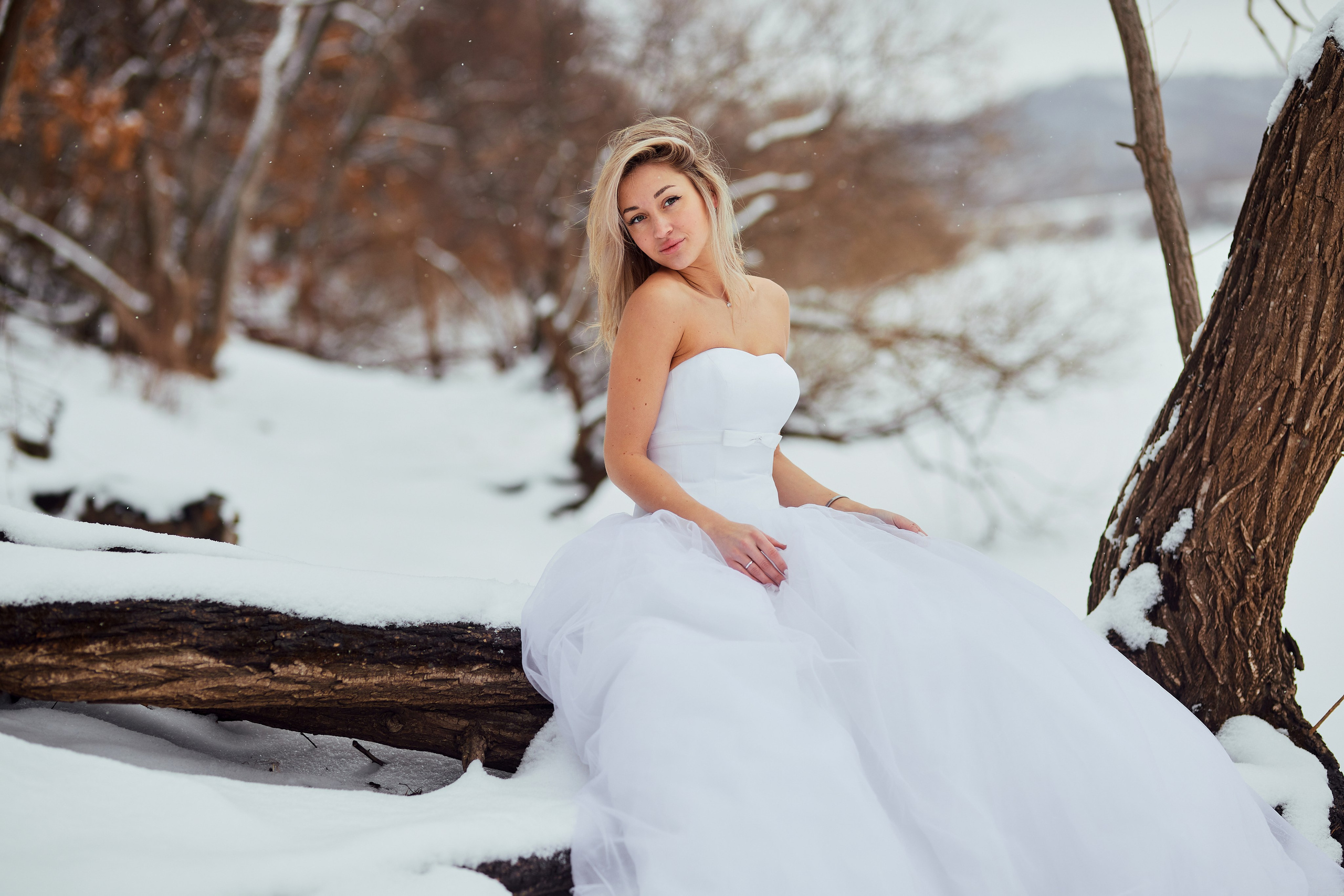 Сбежавшая невеста. Сергей Ирклиенко