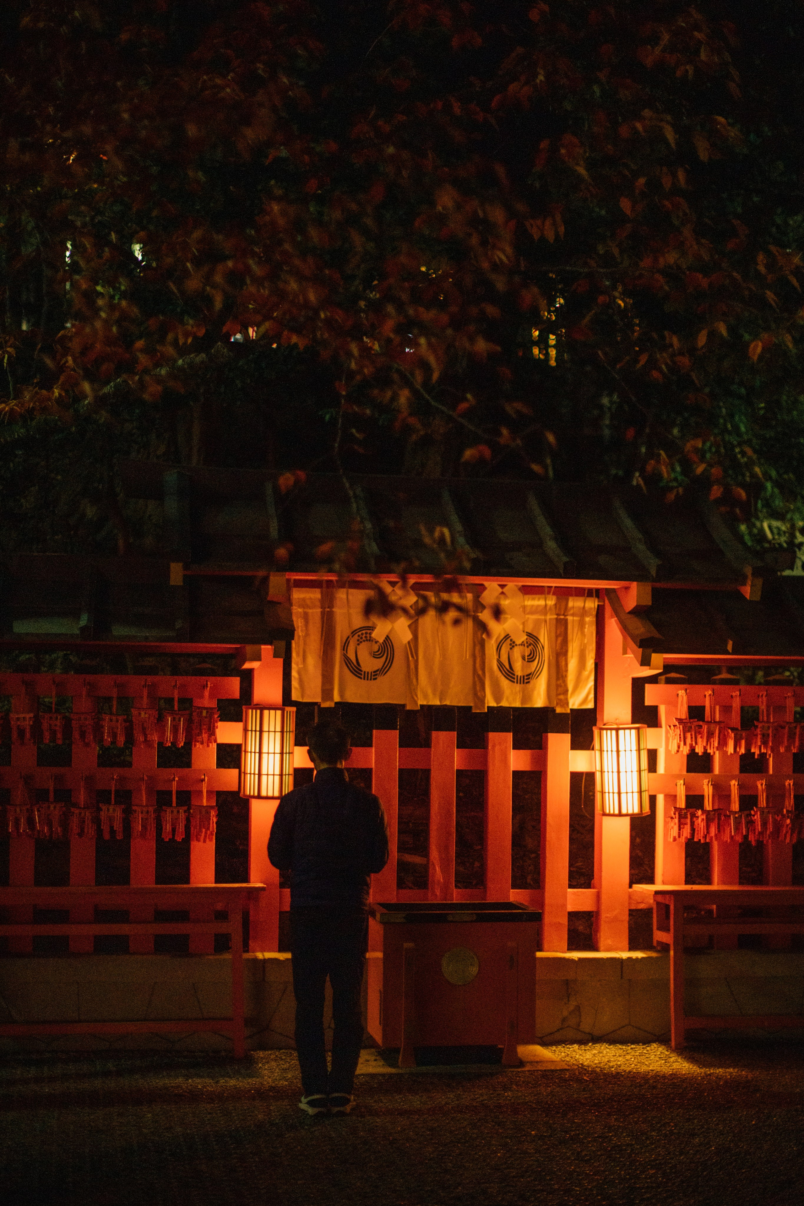 Япония. Главная