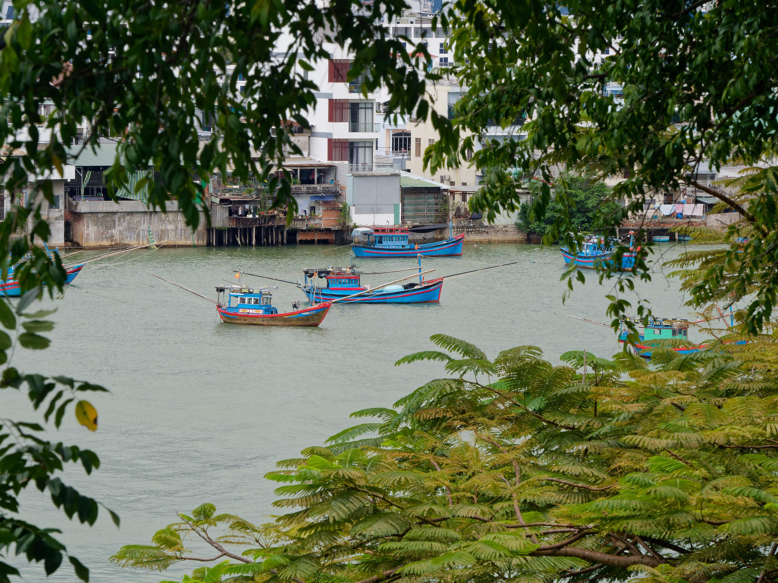 Нячанг 2025 (4). Избранные фотографии