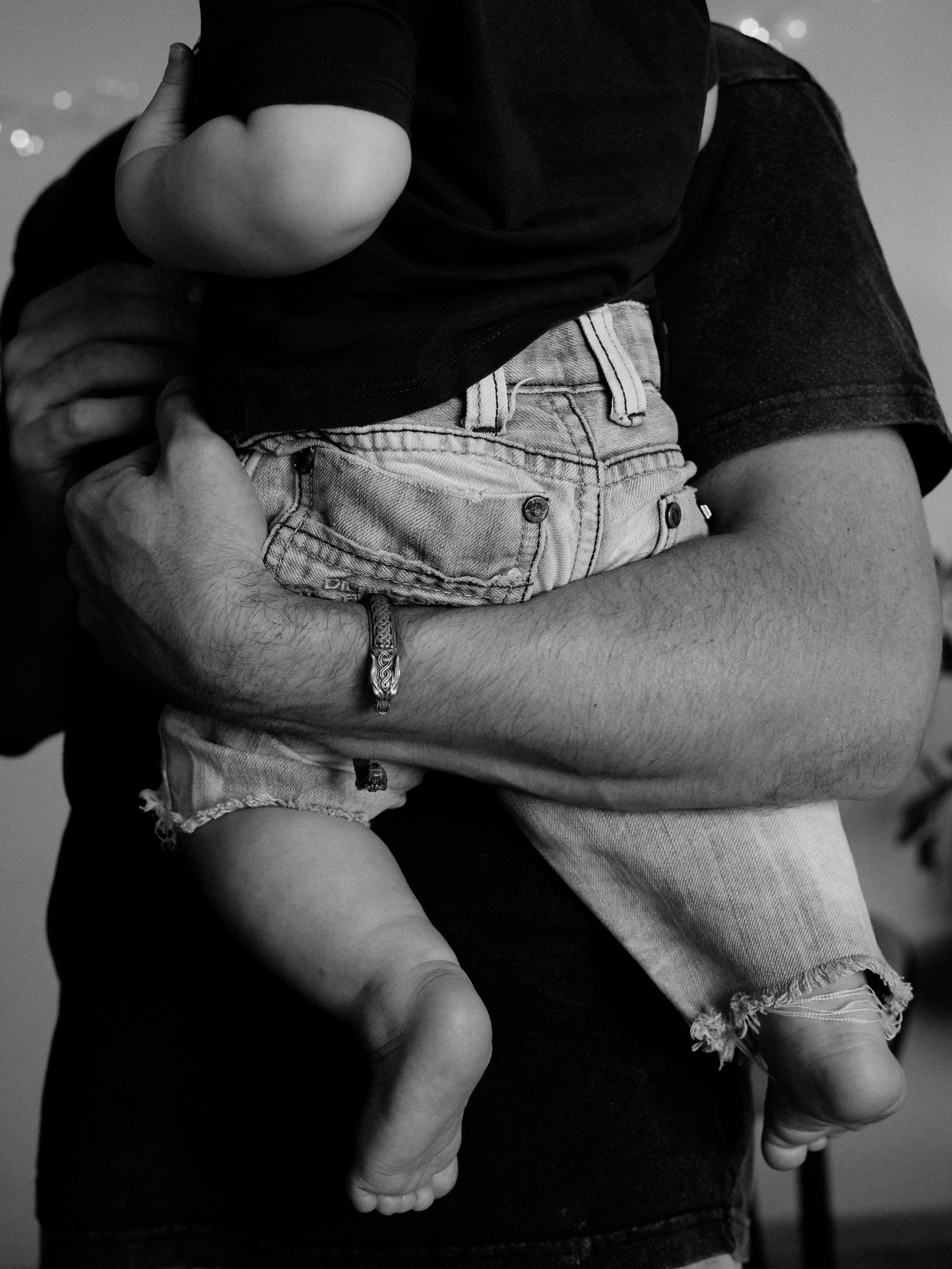 Домашняя история. Meryfotoidea