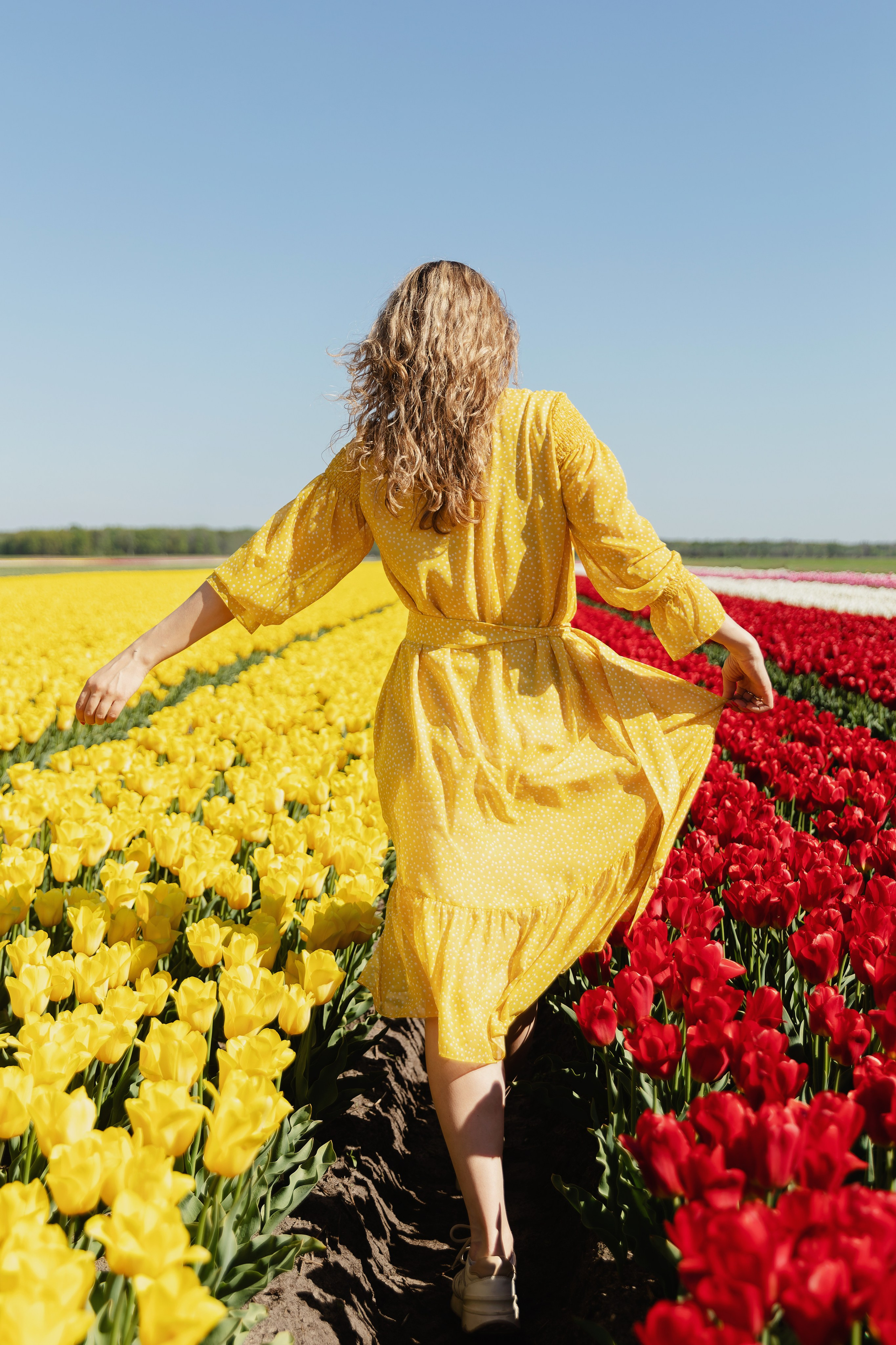 Фотографии с тюльпановых полей Пинск. Репортажный и свадебный фотограф в Минске Шамко Анатолий