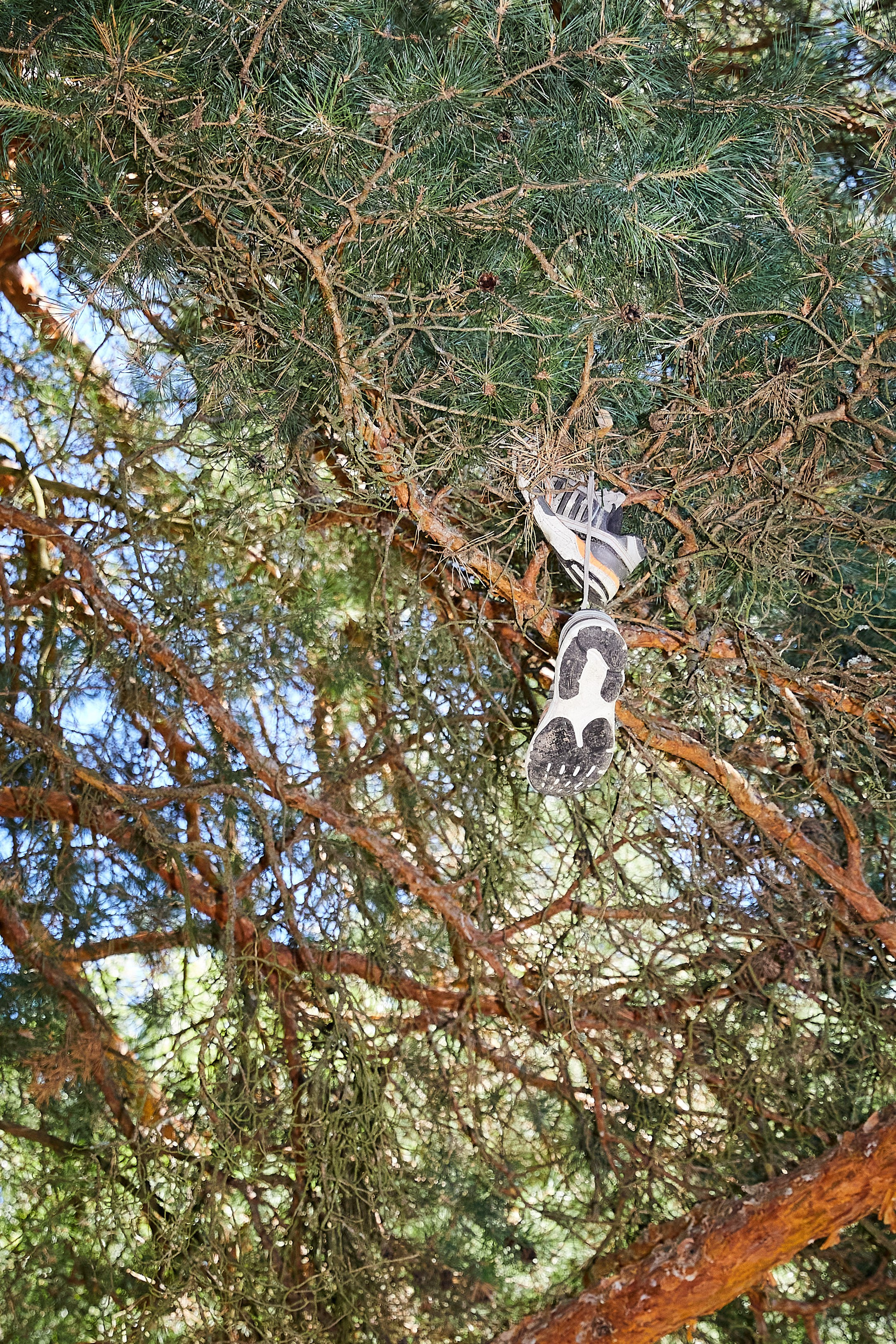 Кадеты. Главная