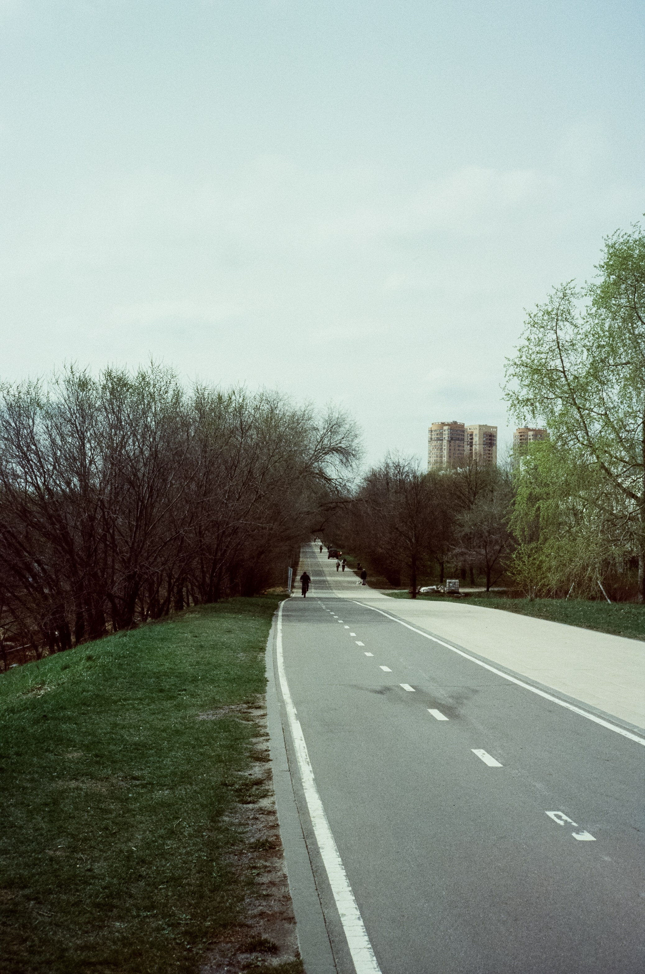 Ricoh 500GS / SFL 200T / Строгино тестовая пленка апрель 2024 г