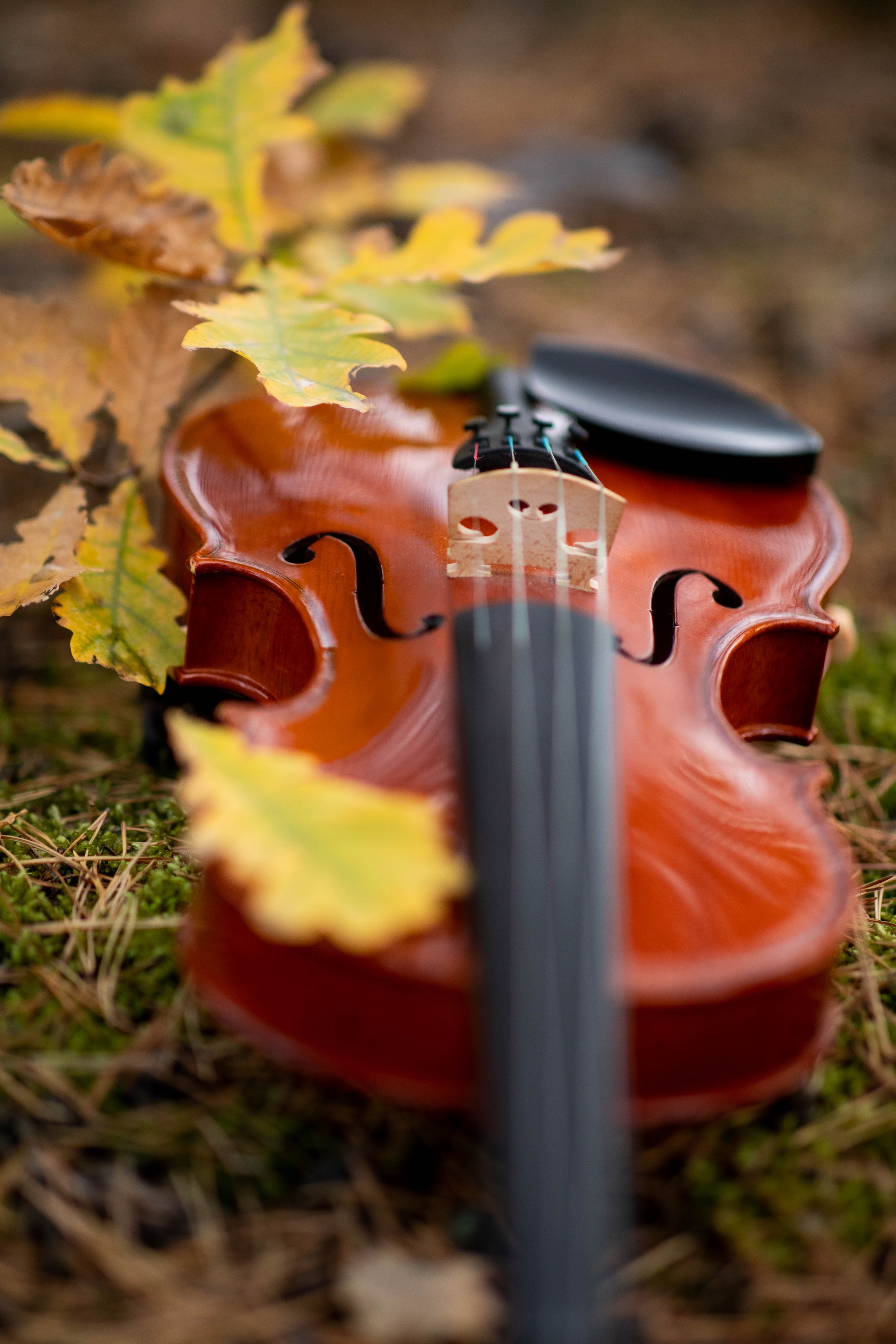 Скрипка и осень