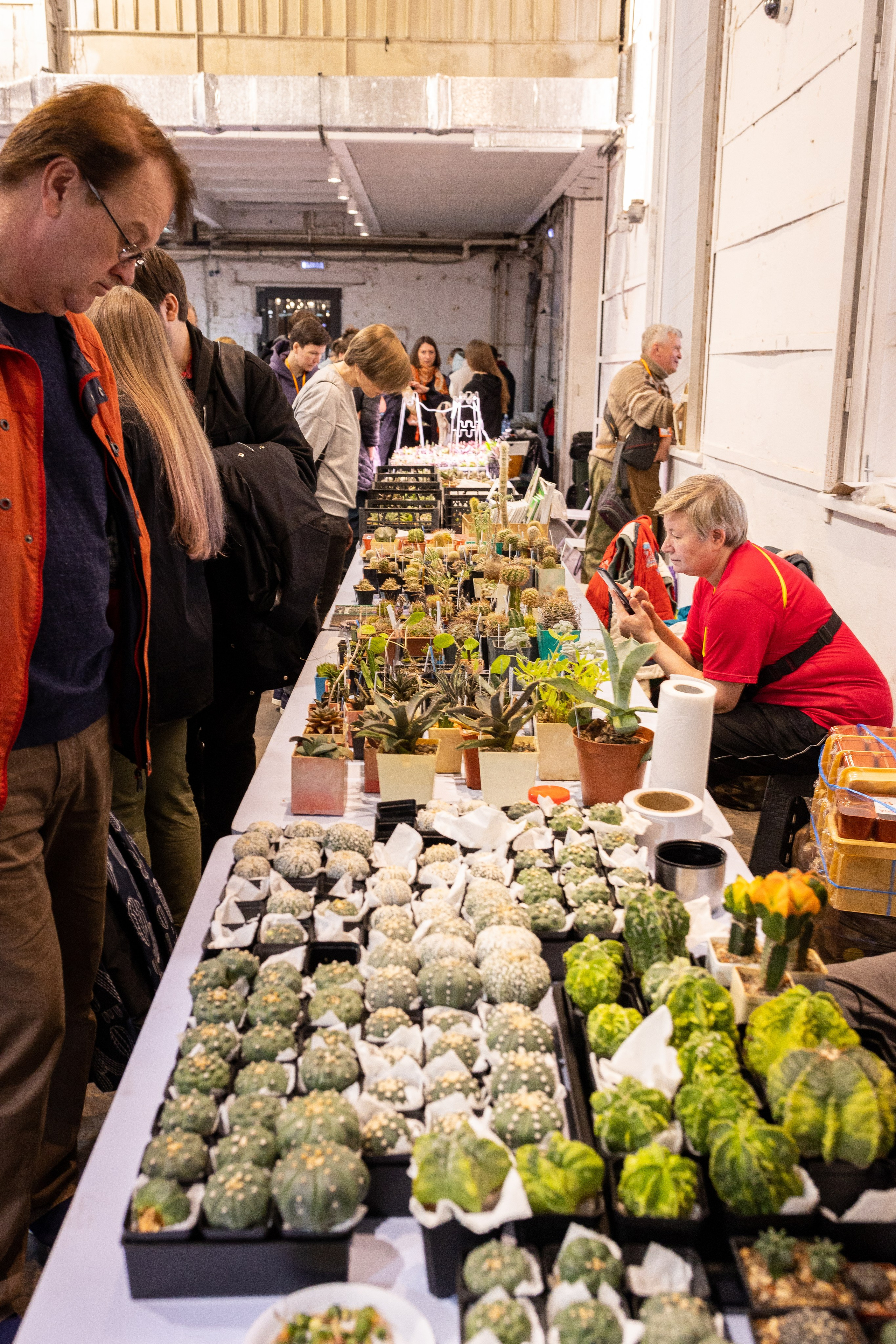 Meza market 2024. Александра Куликова фотограф, Москва