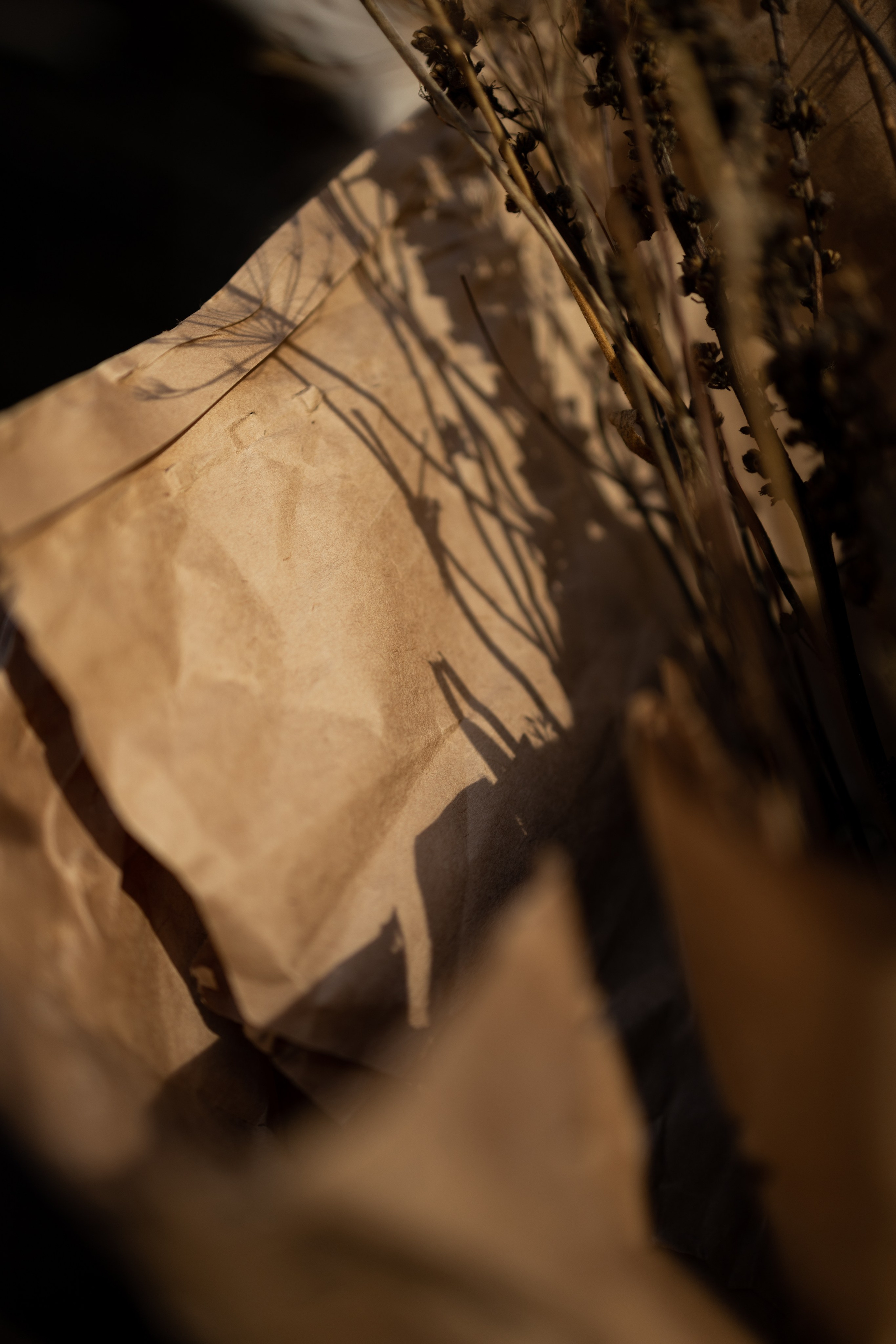 Эстетика П р о Я в л е н и я. Виноградова Маргарита. Фотограф P r o Явления